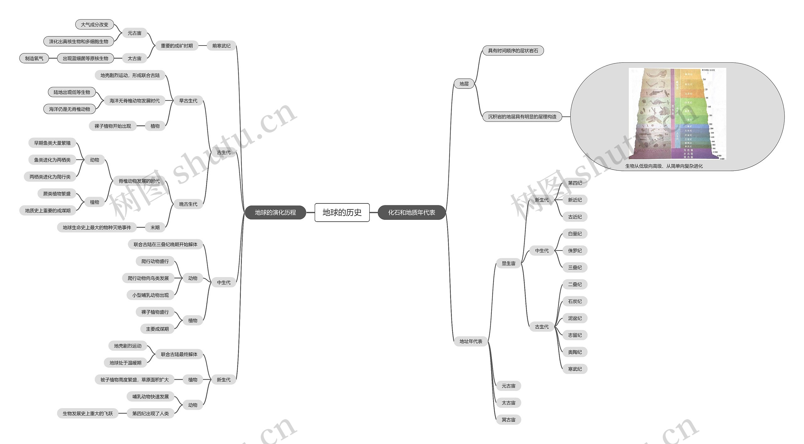 地球的历史脑图思维导图高清图 地球的历史脑图思维导图