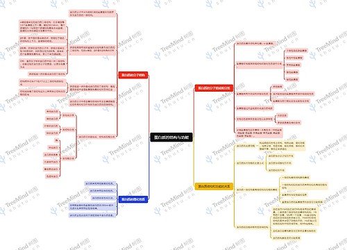 蛋白质的结构与功能思维导图