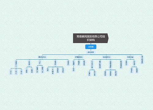 常德惠民医院有限公司组织架构思维导图