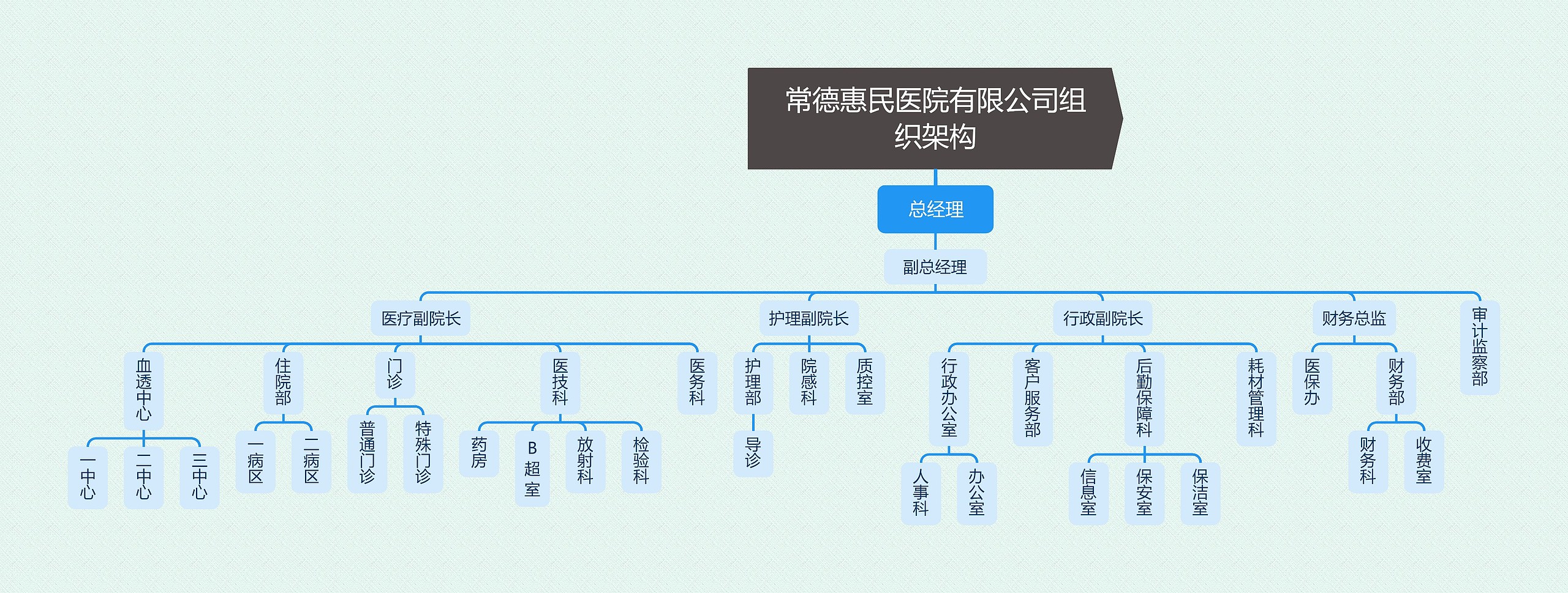 常德惠民医院有限公司组织架构