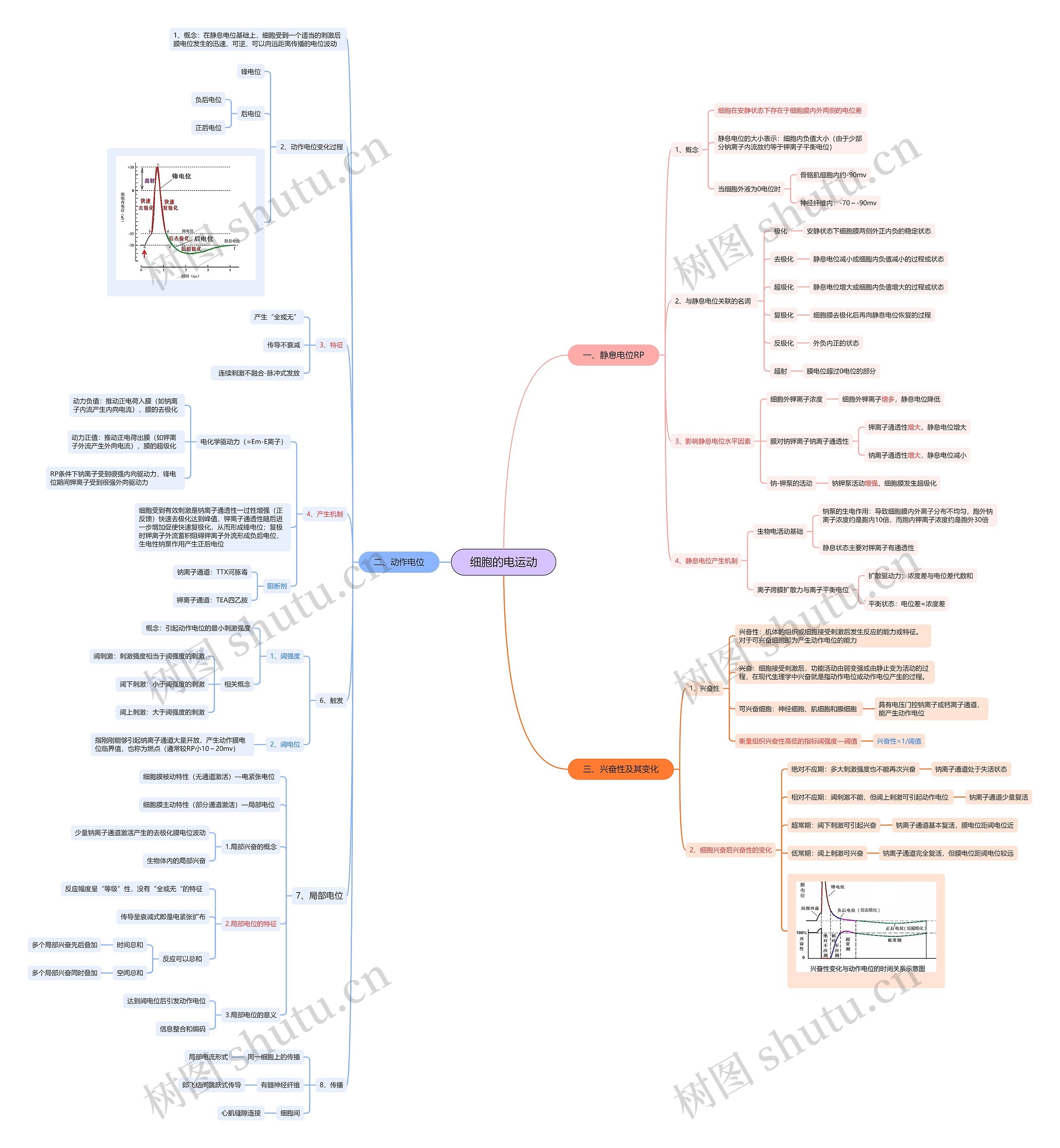 细胞的电运动思维导图