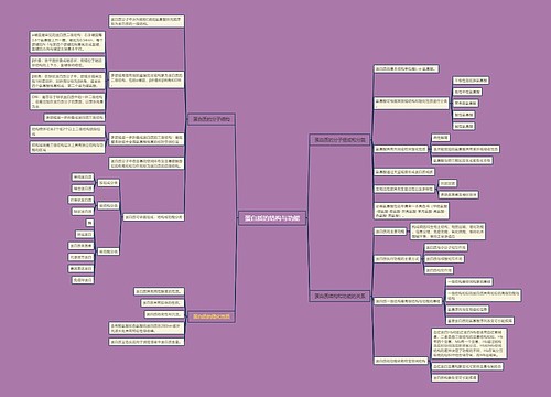蛋白质的结构与功能脑图思维导图