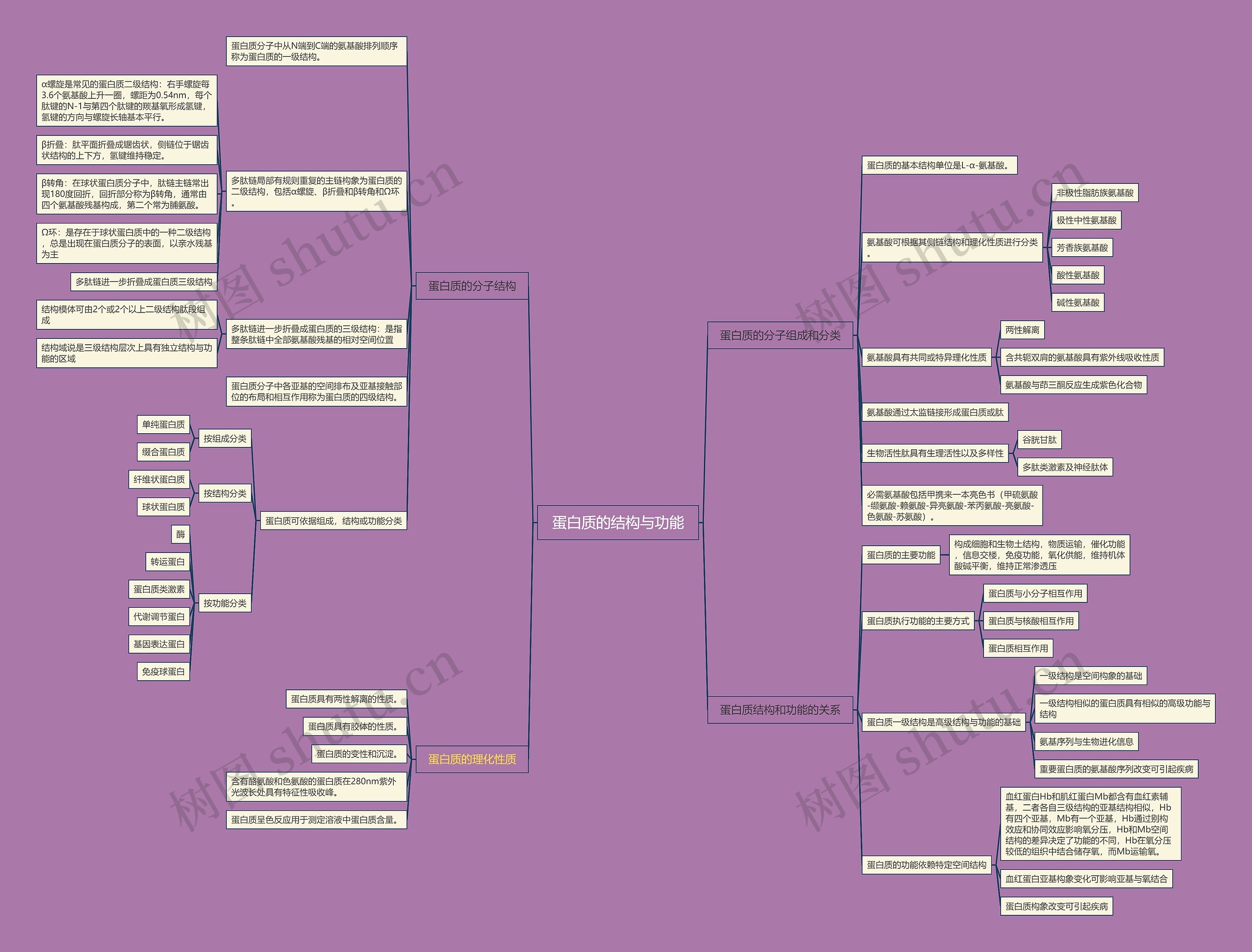 蛋白质的结构与功能脑图思维导图