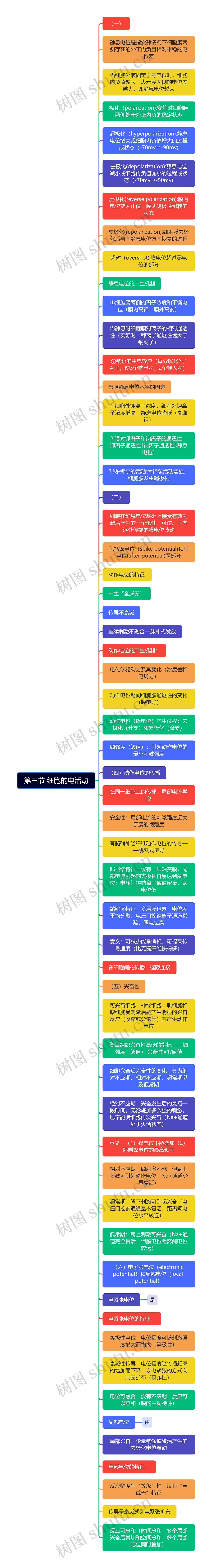 第三节 细胞的电活动