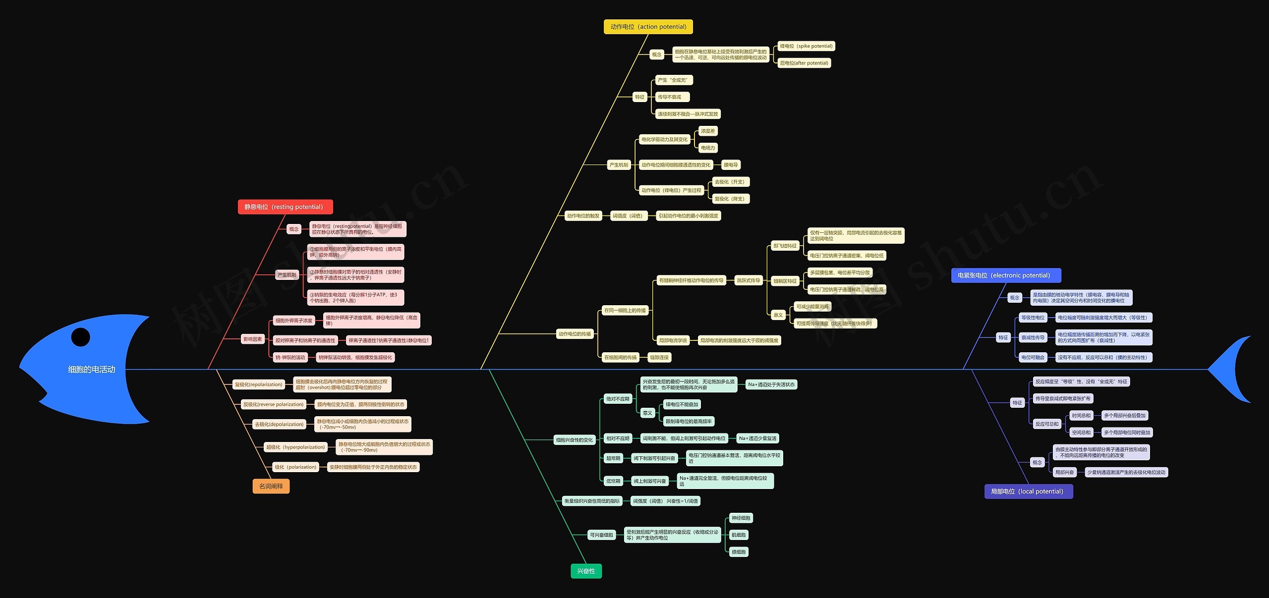 细胞的电活动思维导图