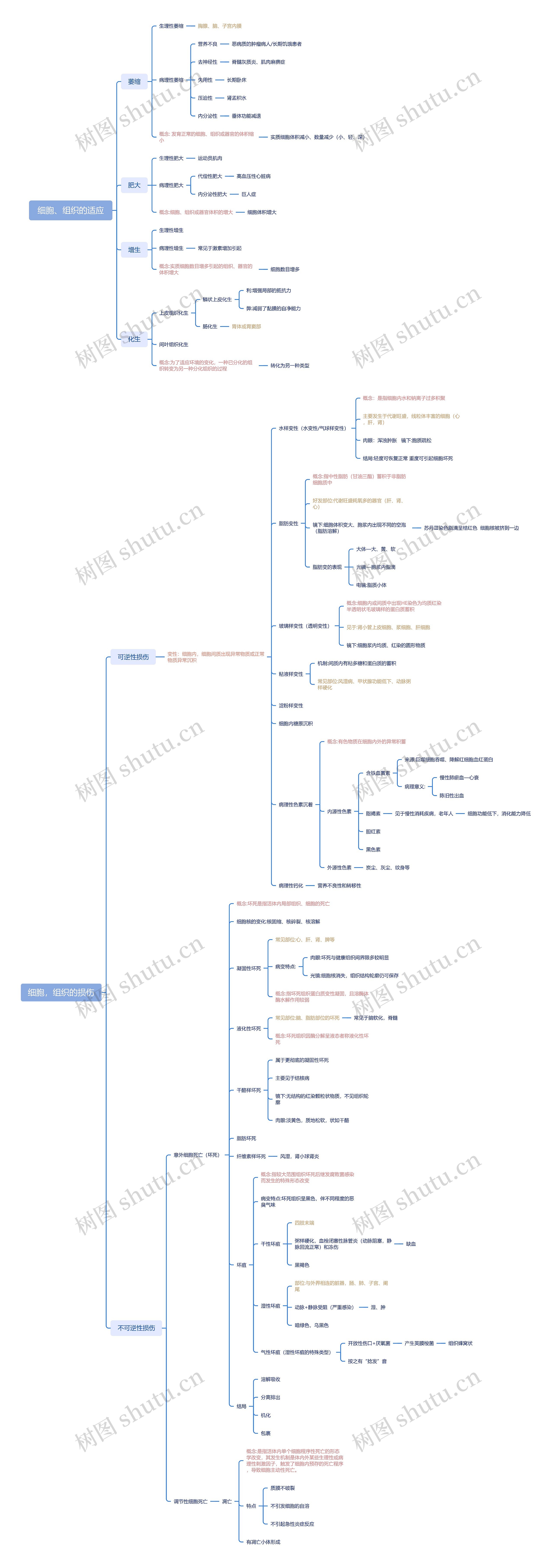 细胞、组织的适应脑图思维导图