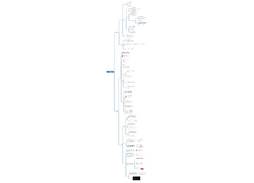 Python编程案例实战脑图