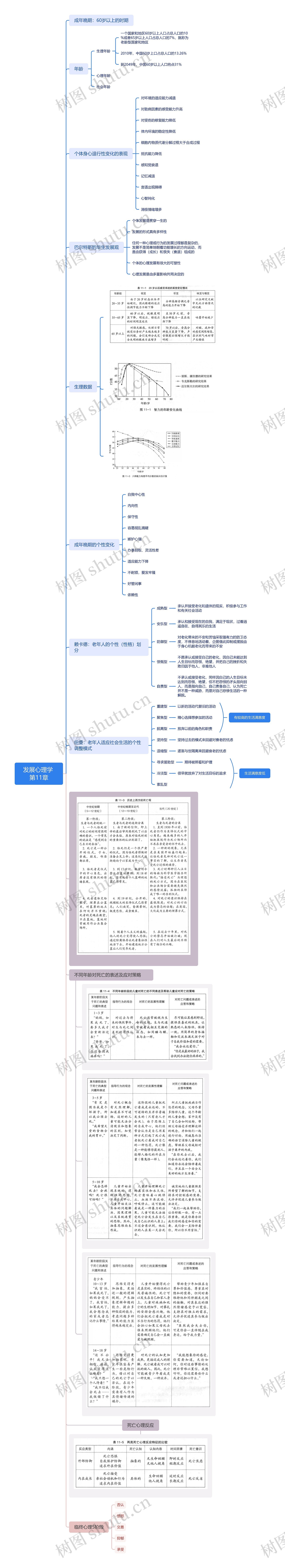 发展心理学成年晚期内容分解