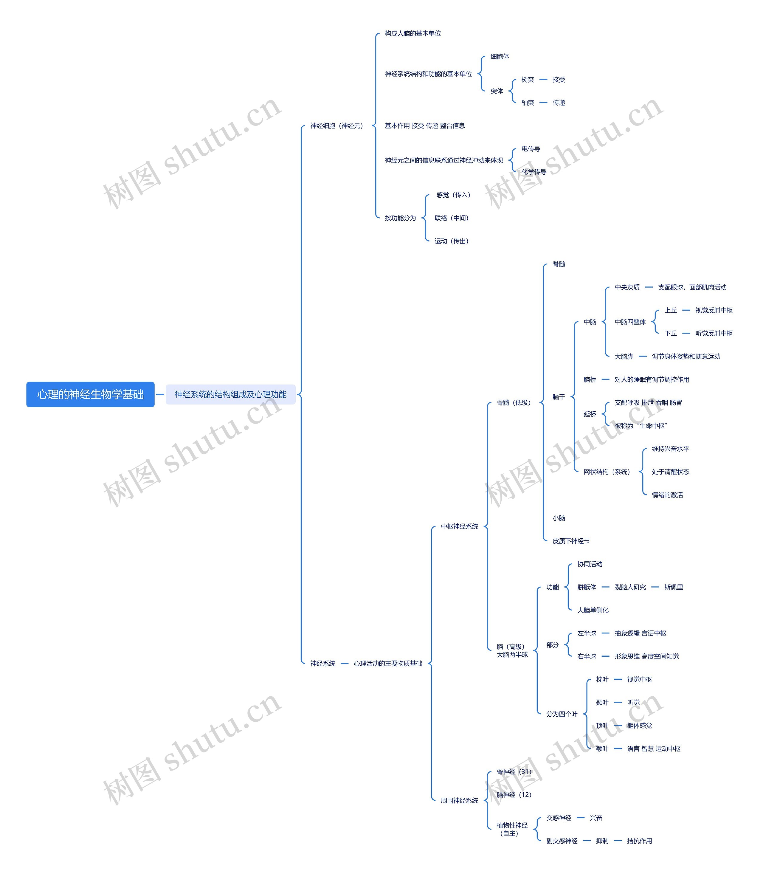 心理的神经生物学基础脑图
