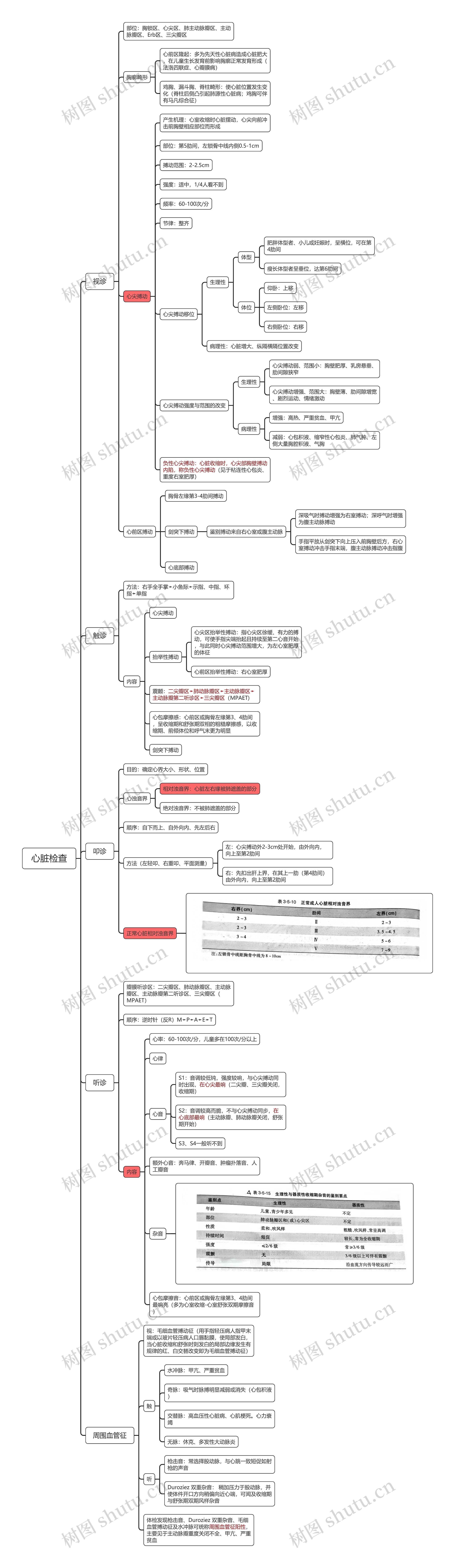心脏检查思维导图