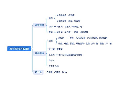 原核细胞和真核细胞思维导图