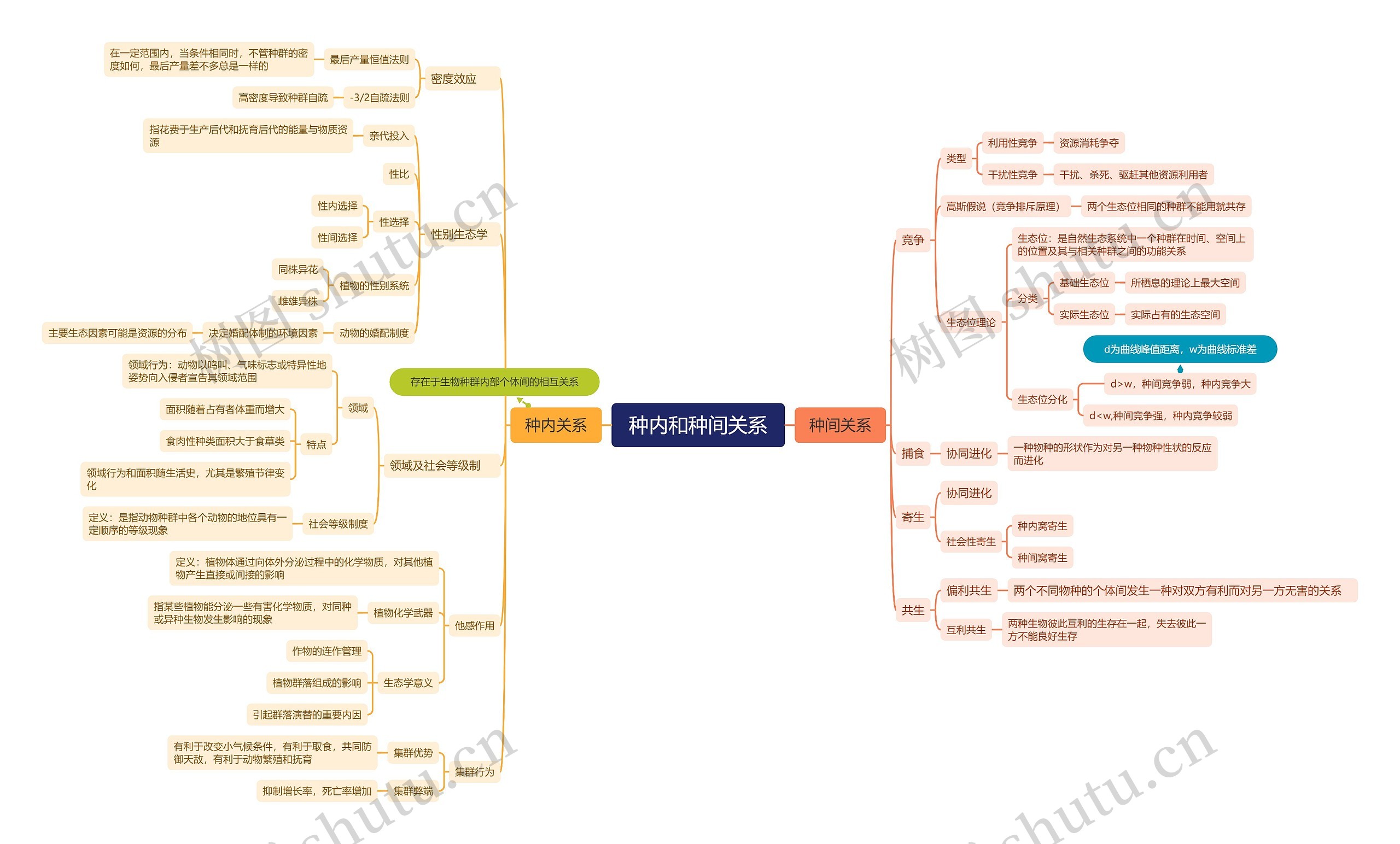 种内和种间关系脑图思维导图