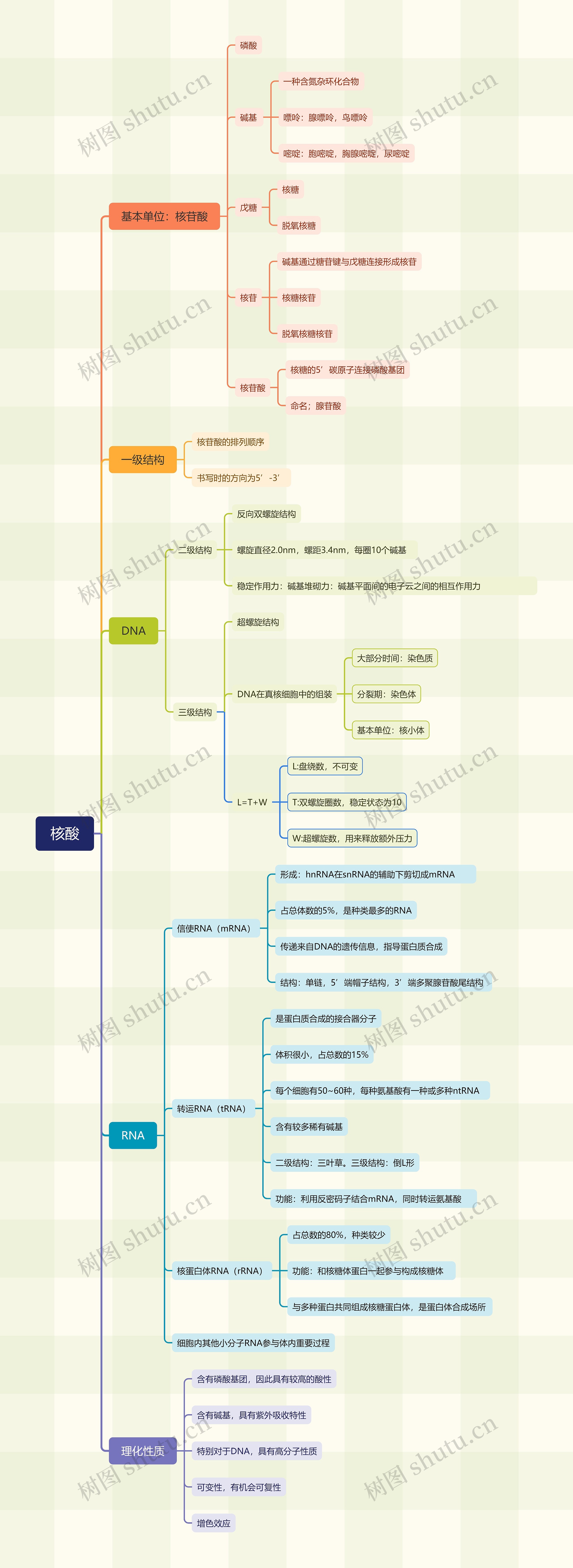 核酸医学分析脑图思维导图高清图 核酸医学分析脑图思维导图