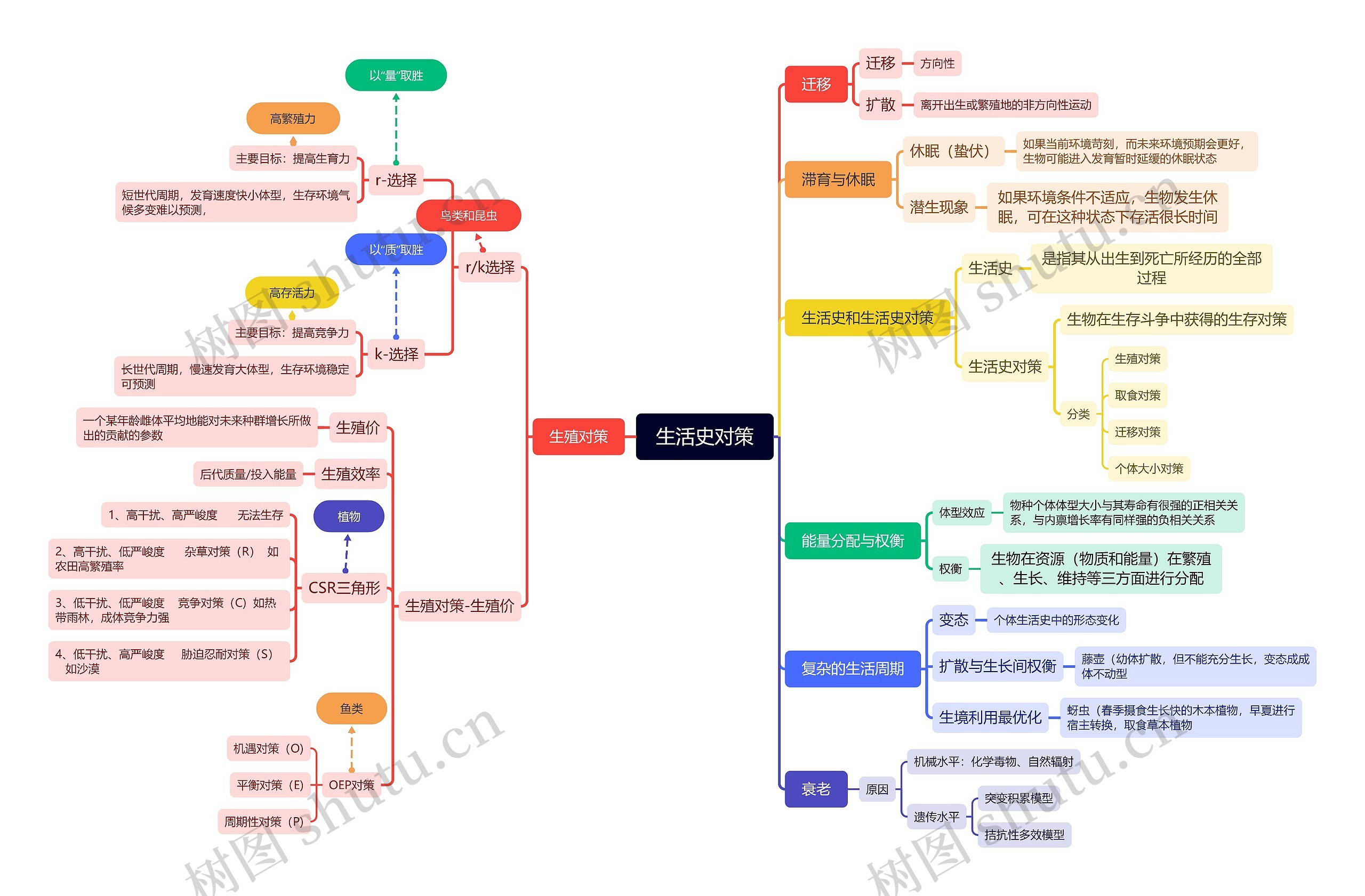 生活史对策思维脑图