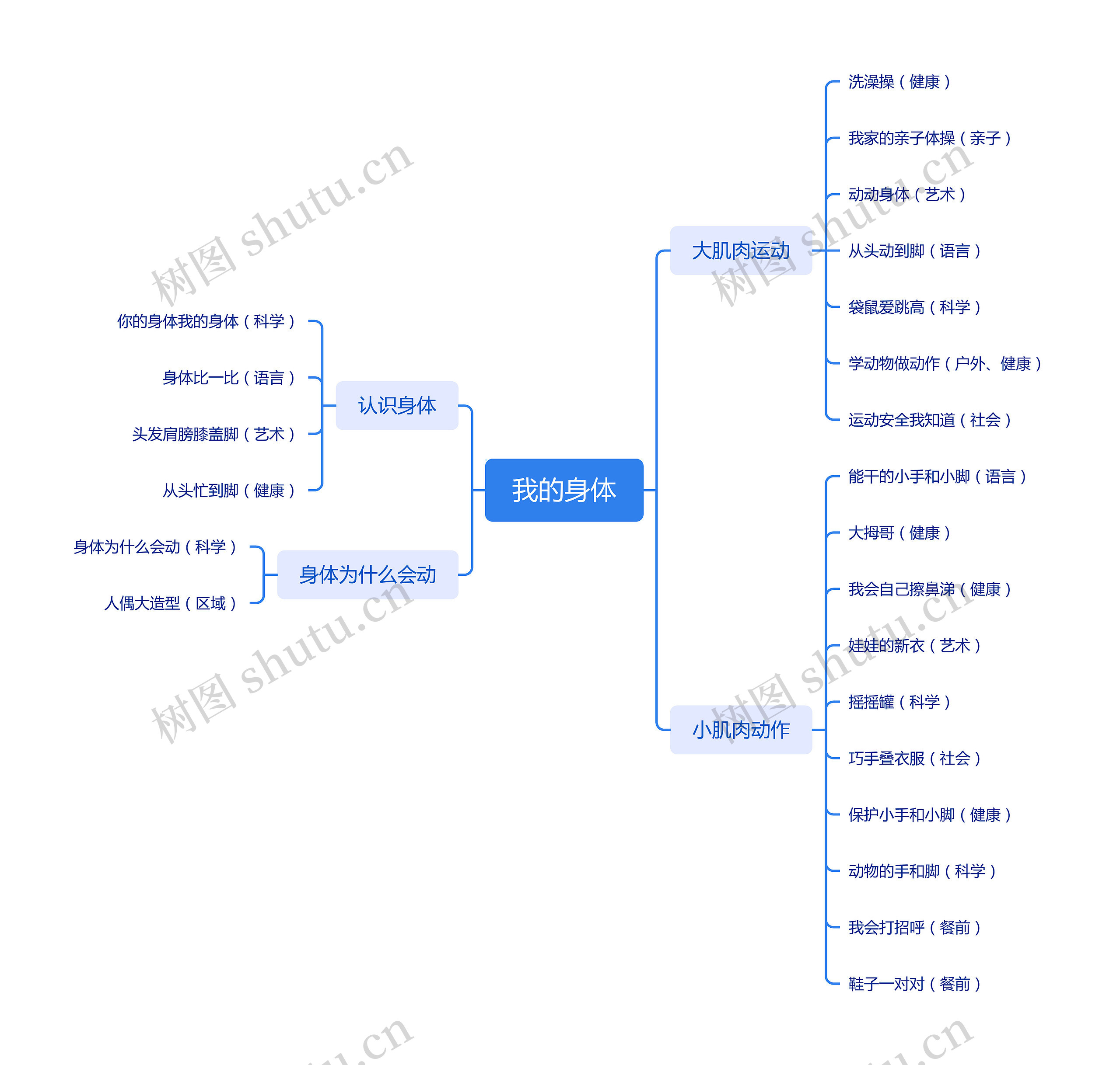 我的身体幼儿教育脑图思维导图