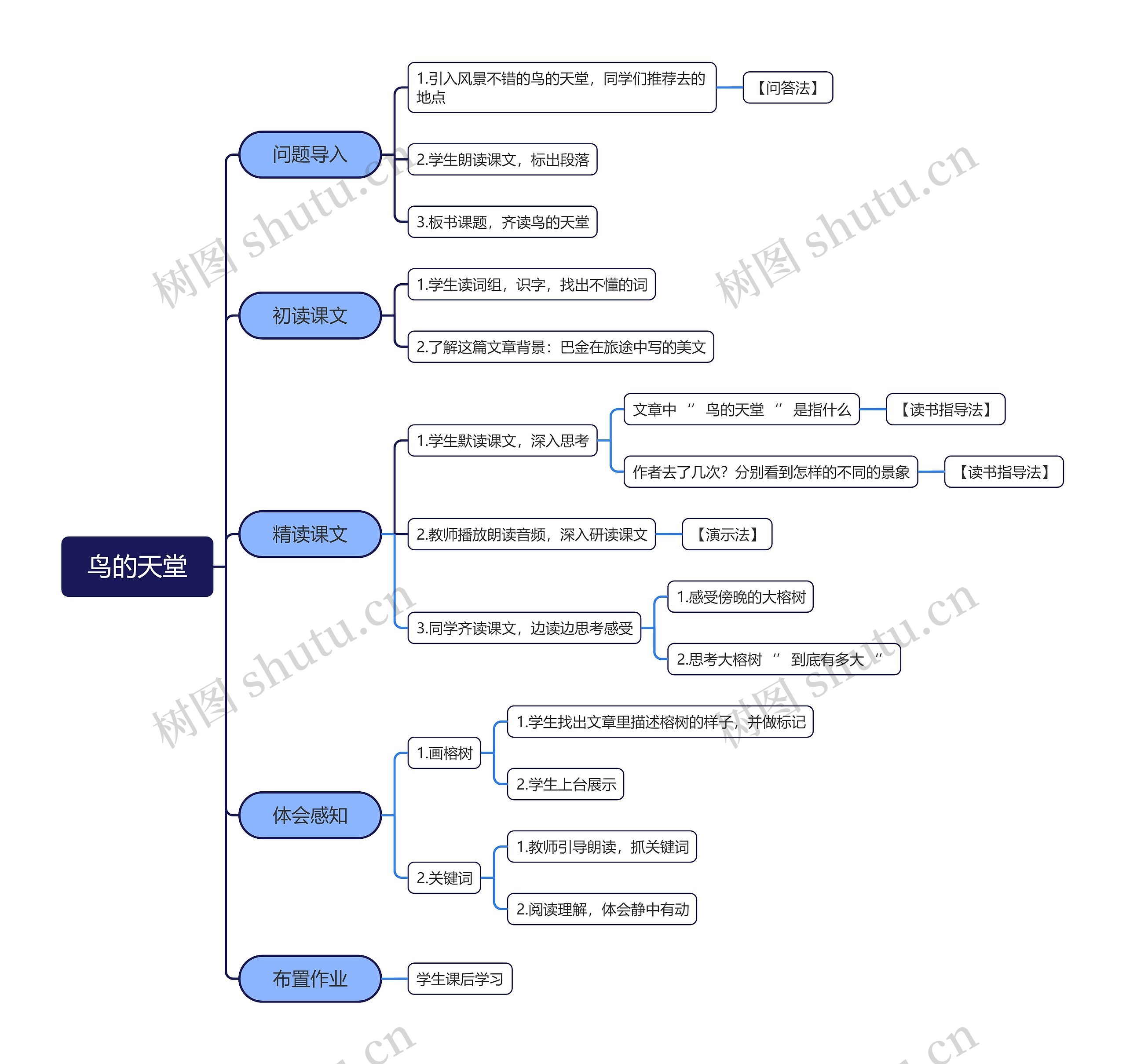 鸟的天堂课程教学流程脑图思维导图
