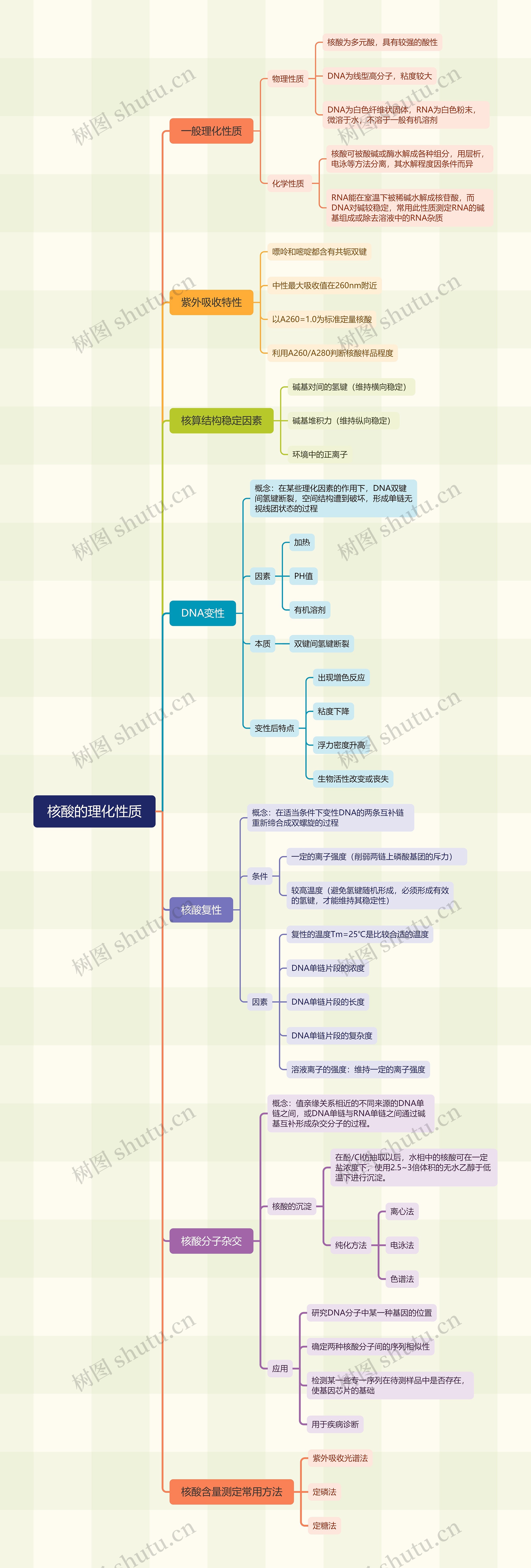 ﻿核酸的理化性质思维导图