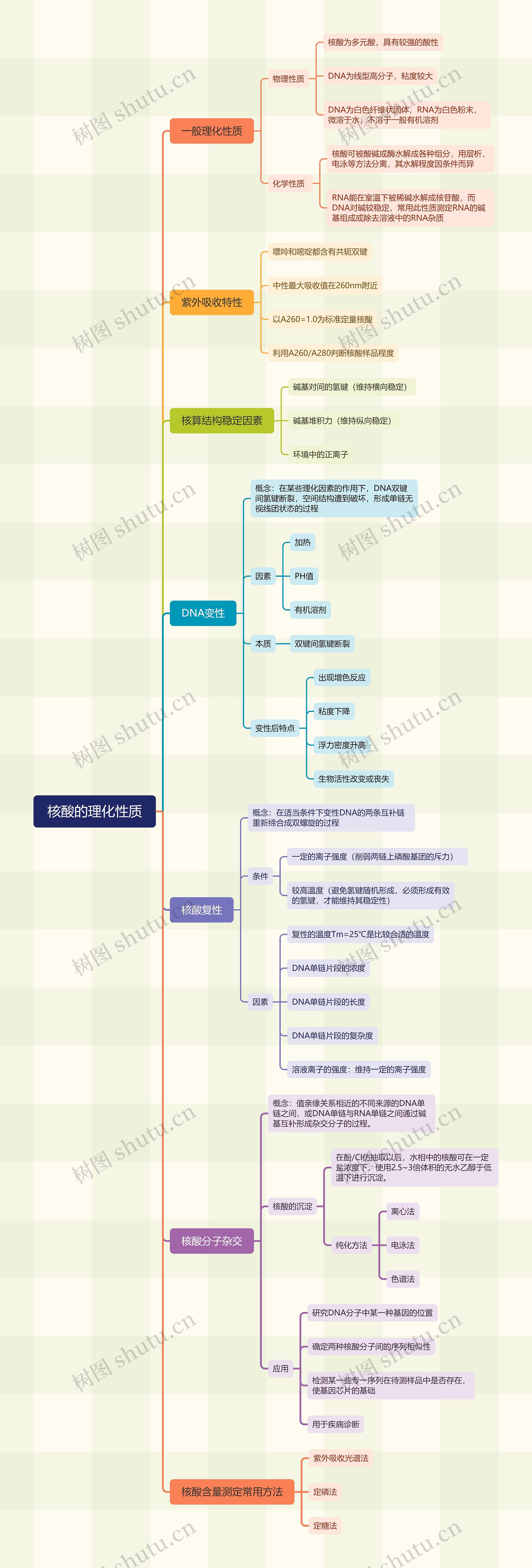 核酸的理化性质思维导图高清图 核酸的理化性质思维导图