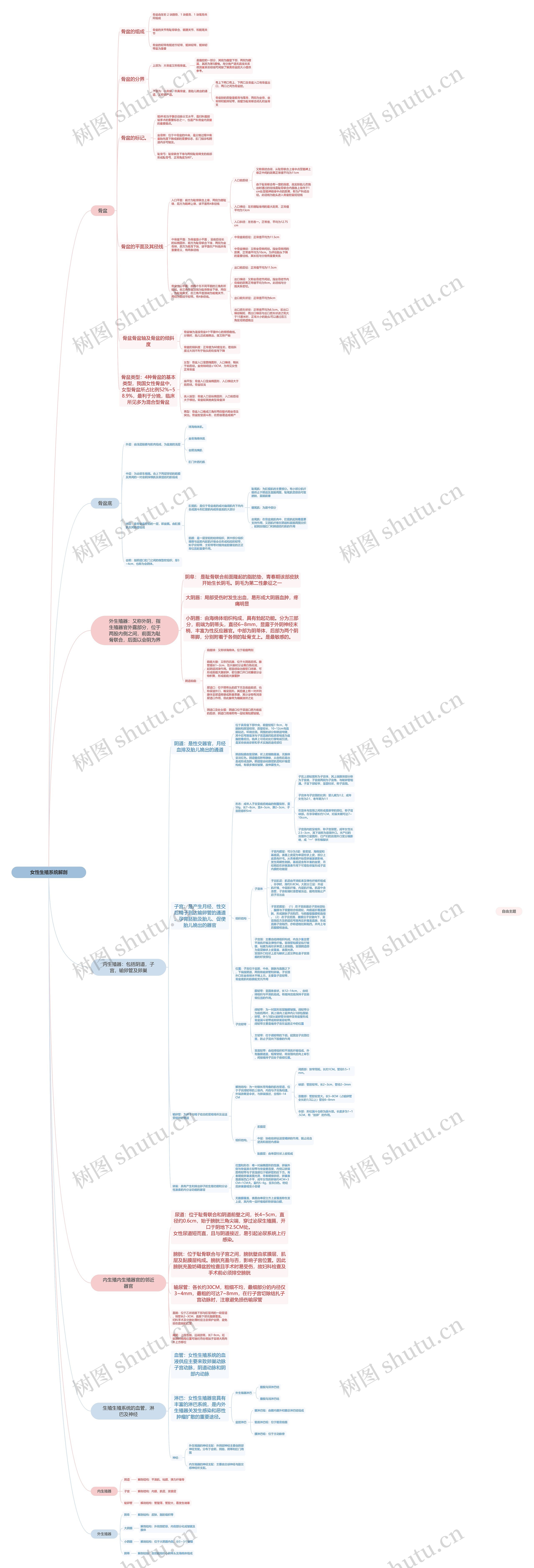 女性生殖系统解剖思维导图