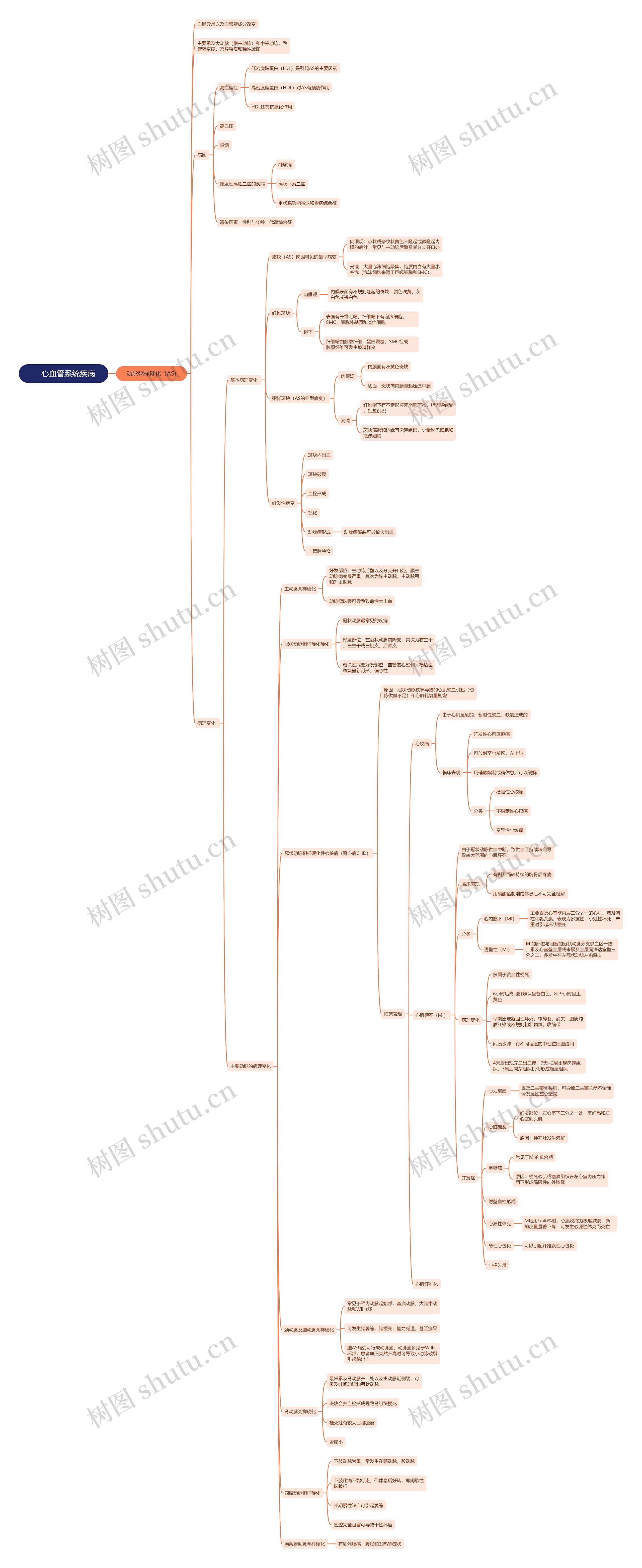     心血管系统疾病思维导图