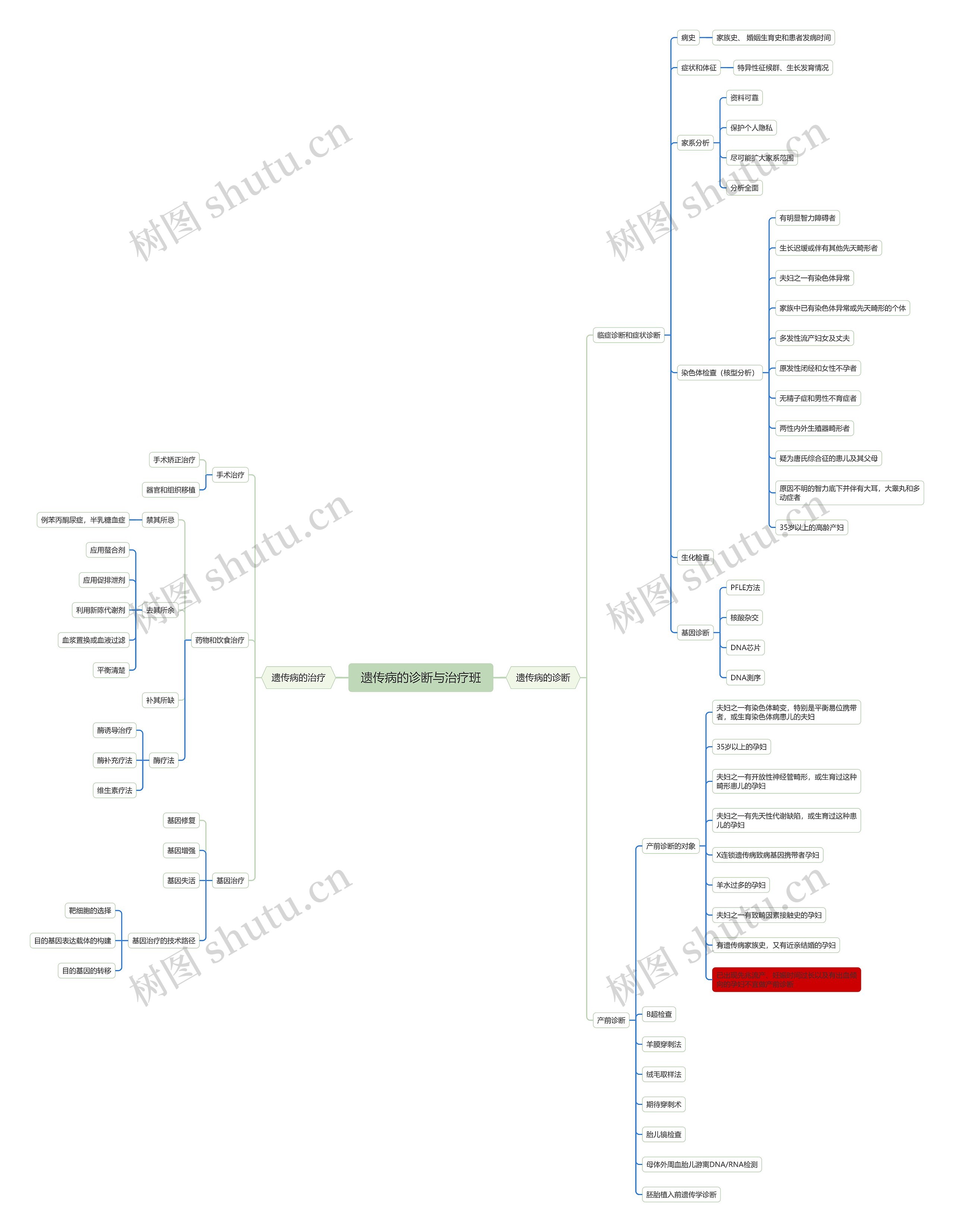 ﻿遗传病的诊断与治疗班思维导图