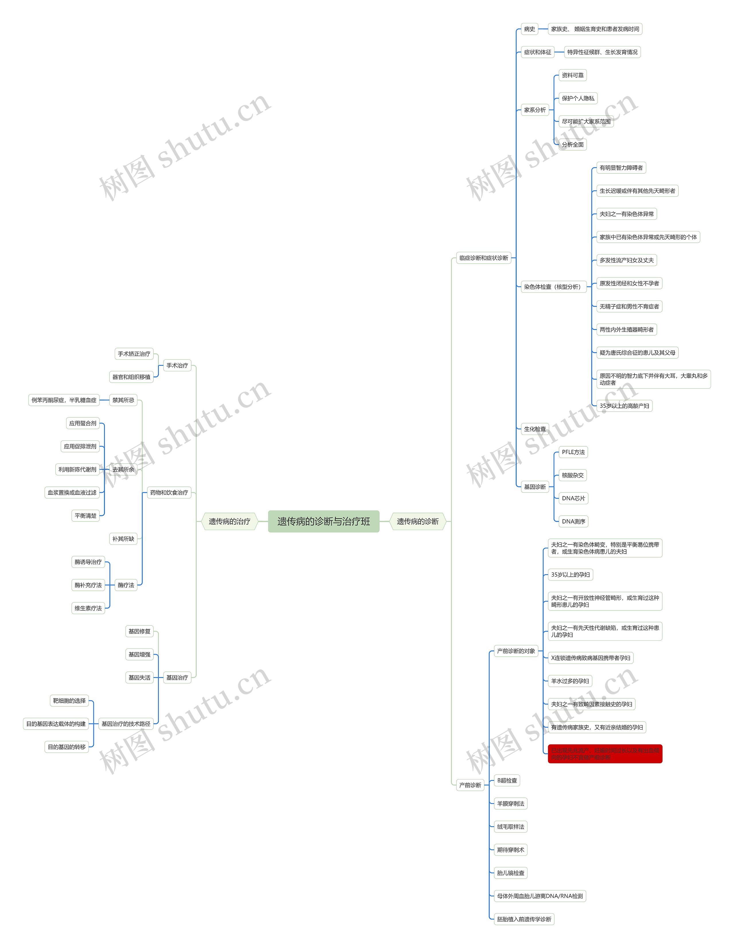 遗传病的诊断与治疗班思维导图高清图 遗传病的诊断与治疗班思维导图
