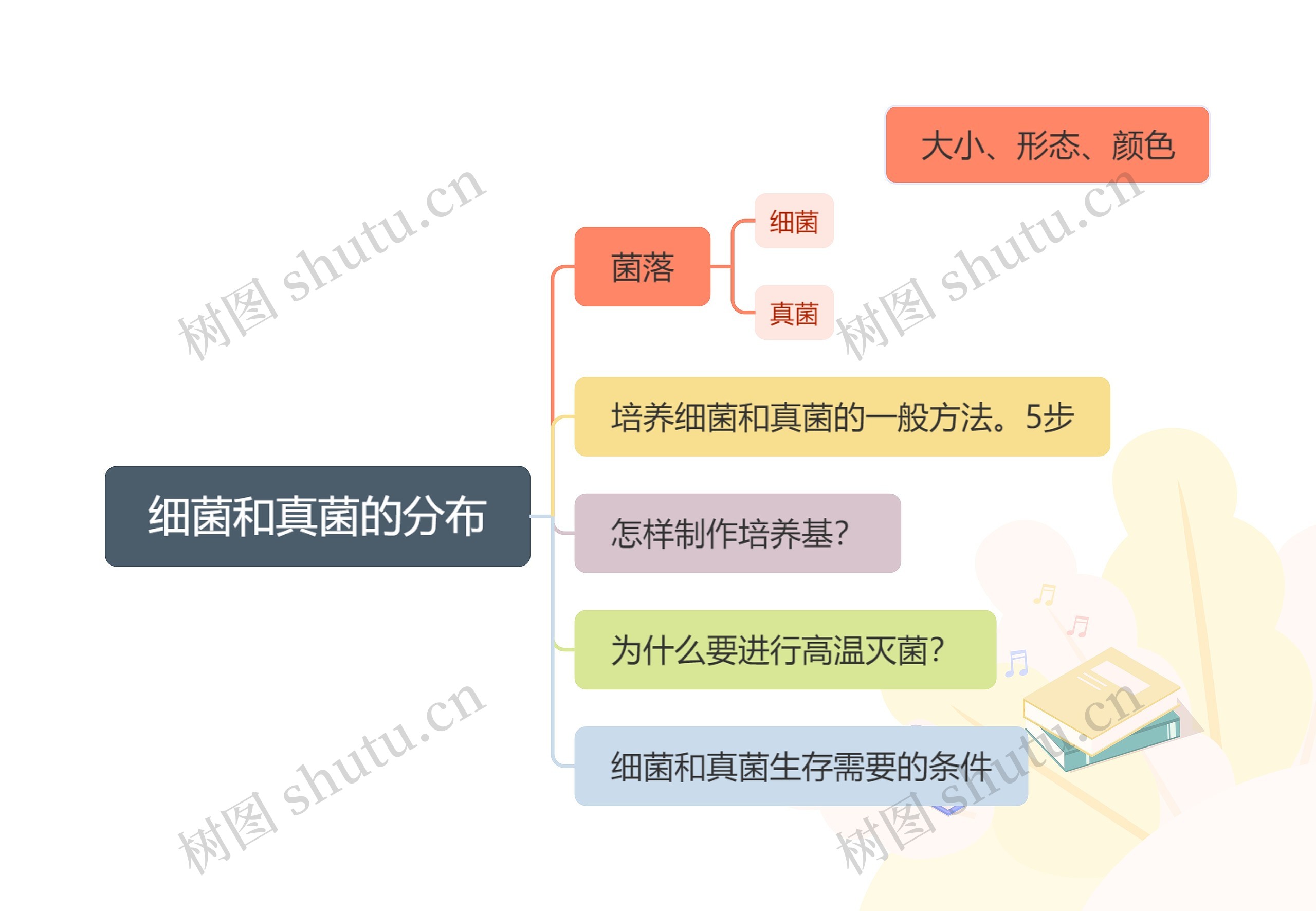 细菌和真菌的分布思维导图