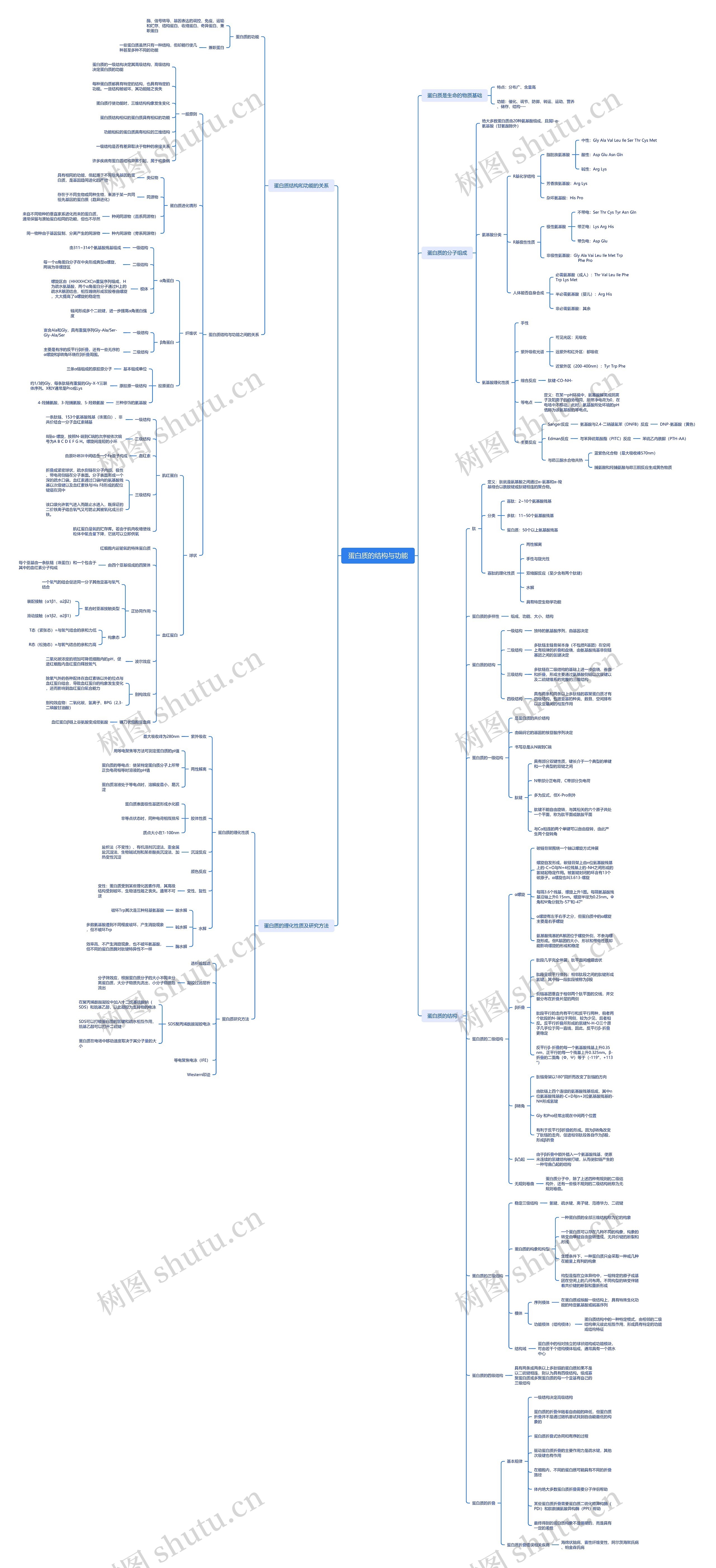 蛋白质的结构与功能脑图