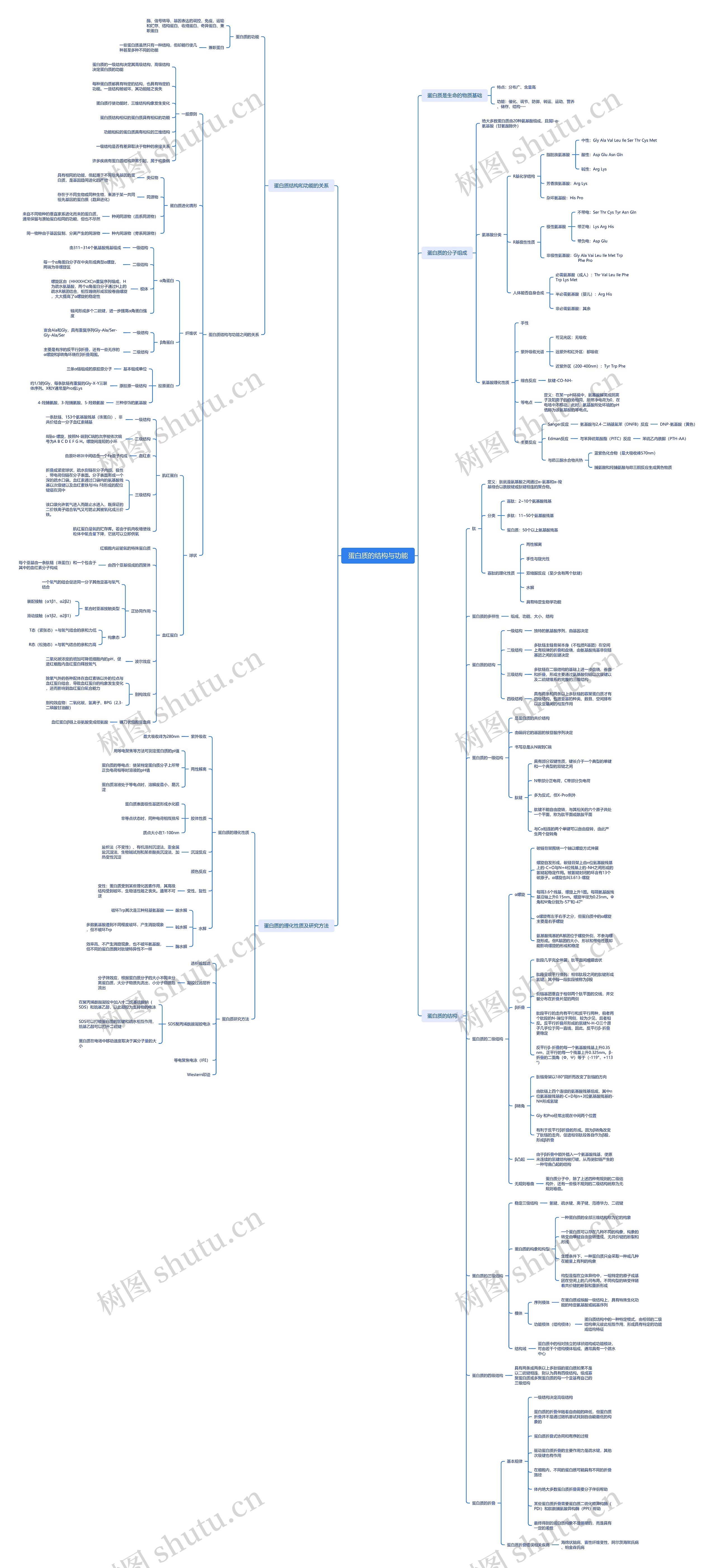 蛋白质的结构与功能脑图思维导图高清图 蛋白质的结构与功能脑图思维导图