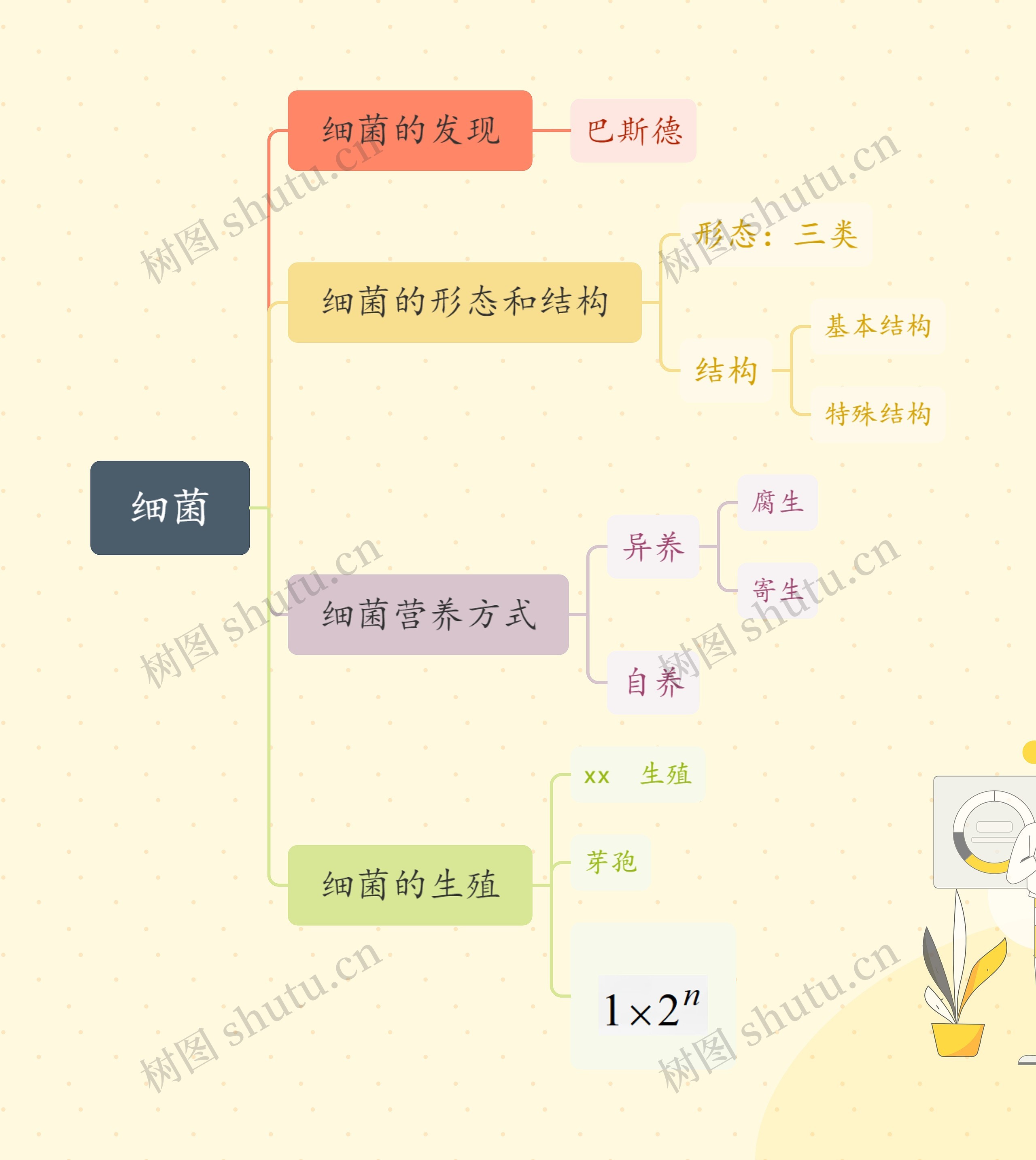 细菌学理论知识脑图思维导图