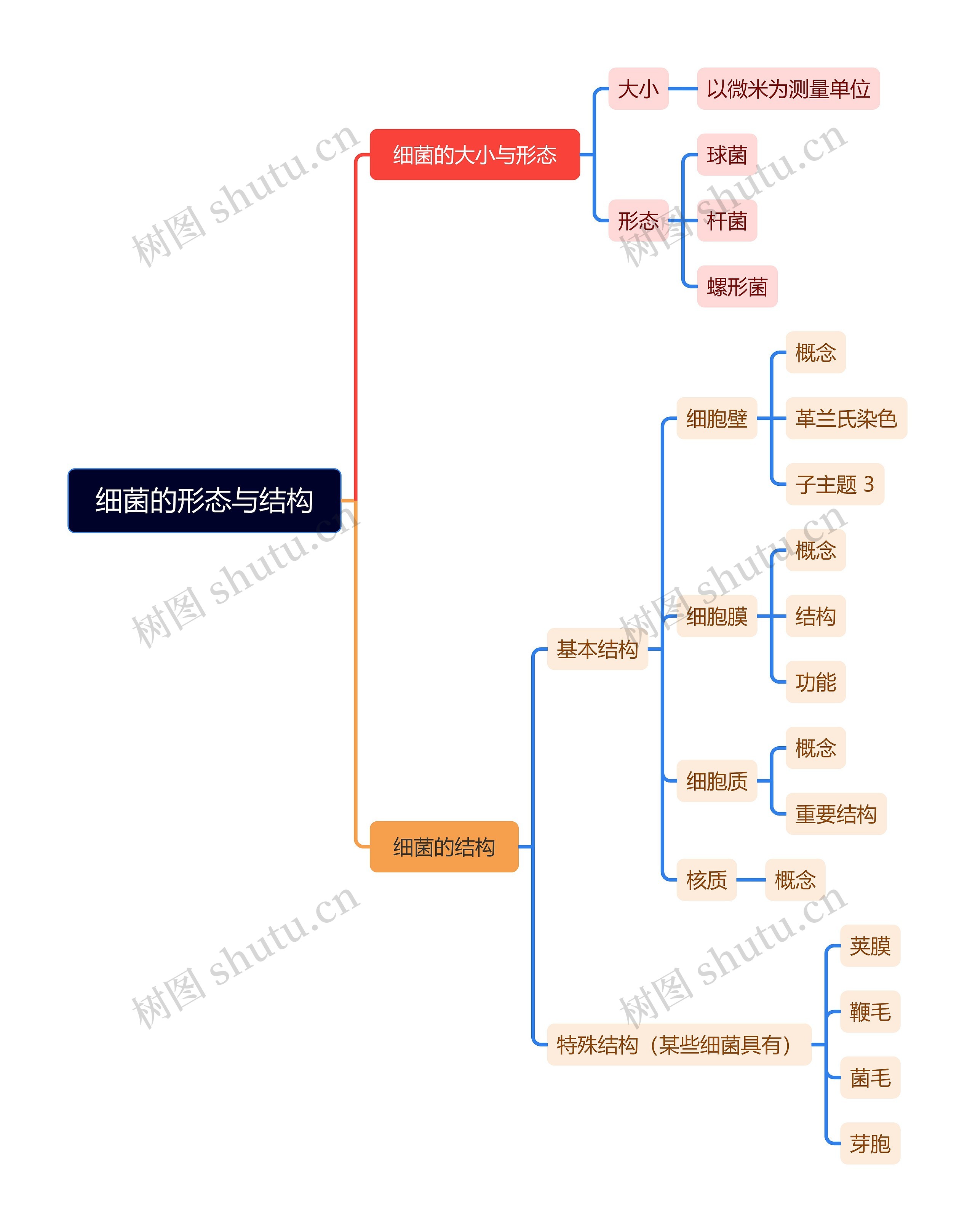 细菌的形态与结构