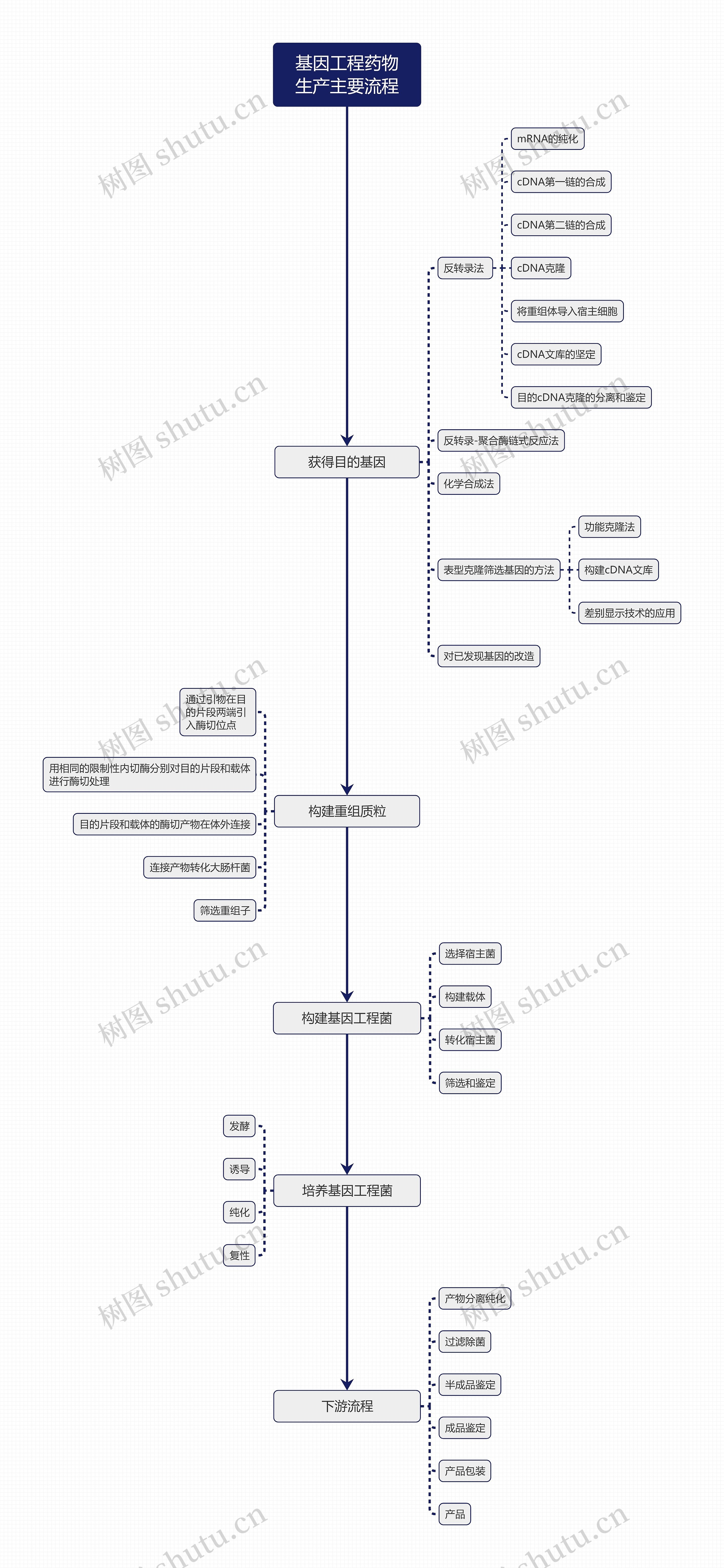 基因工程药物生产主要流程思维导图
