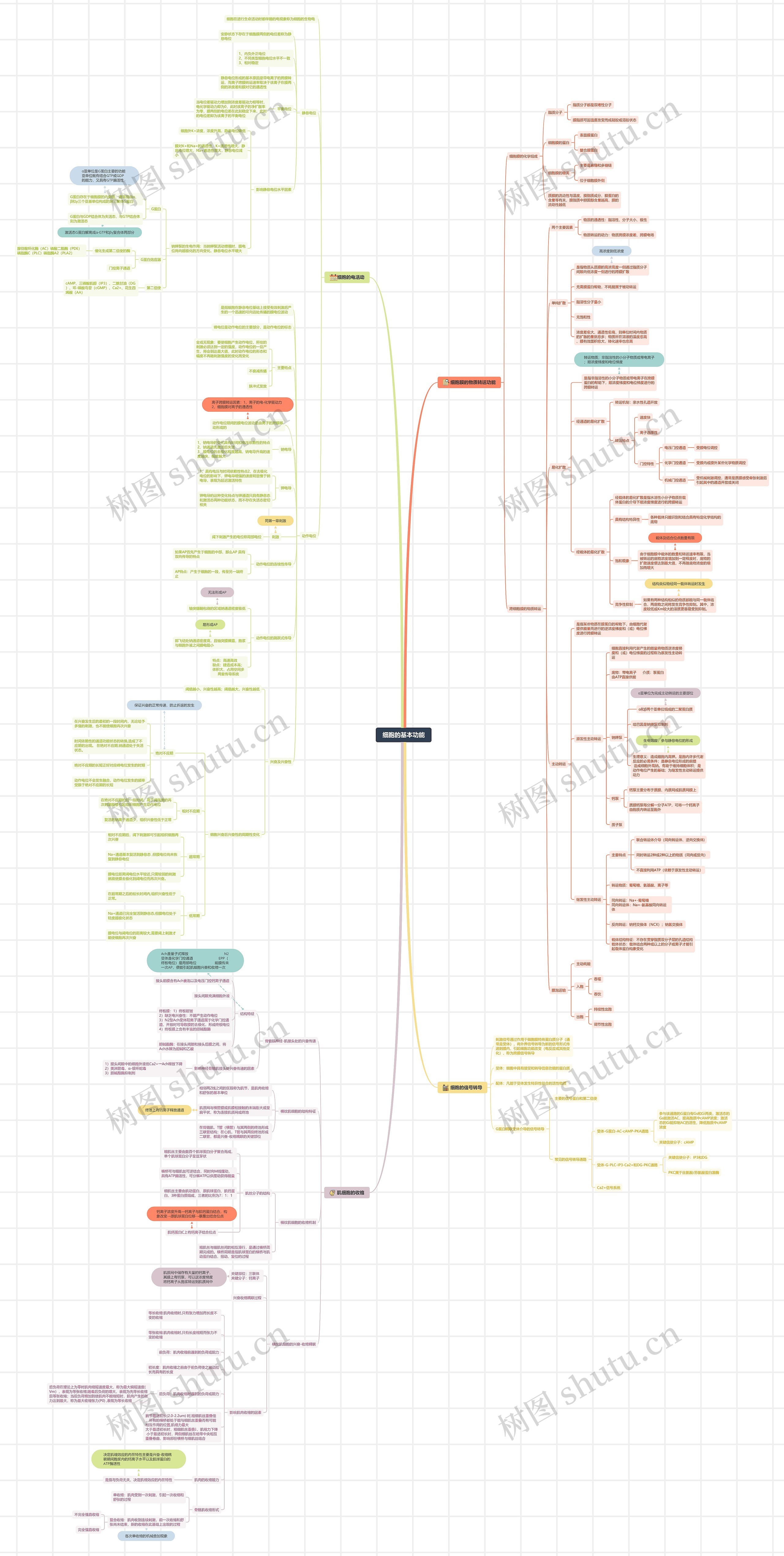 细胞基本功能思维脑图