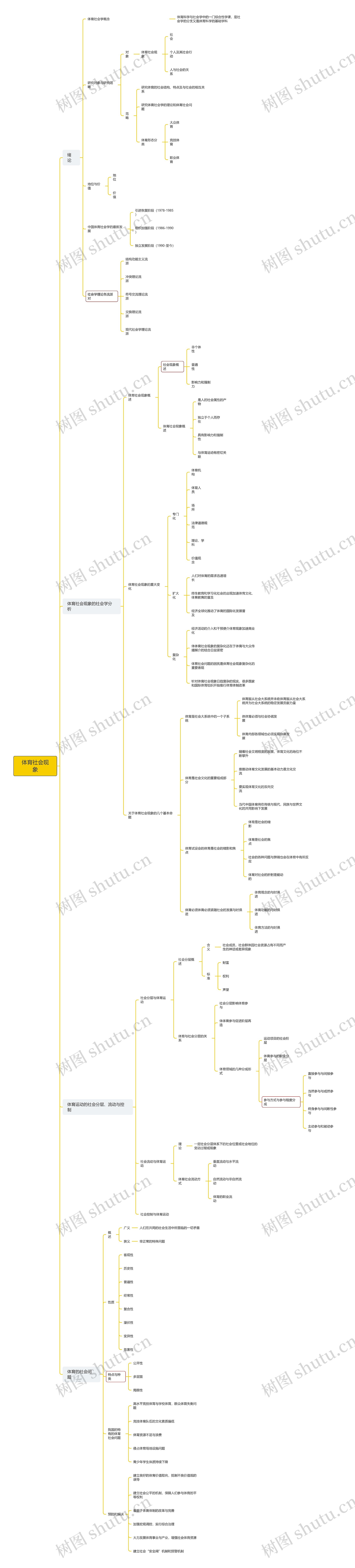 体育社会现象思维脑图