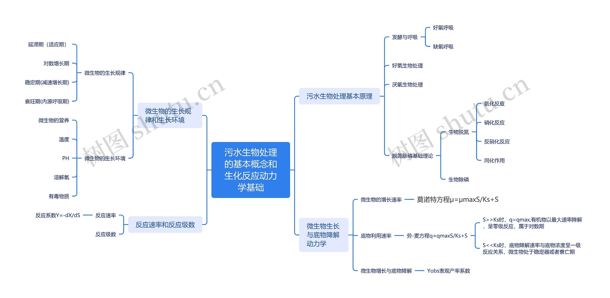 污水生物处理的基本概念和生化反应动力学基础