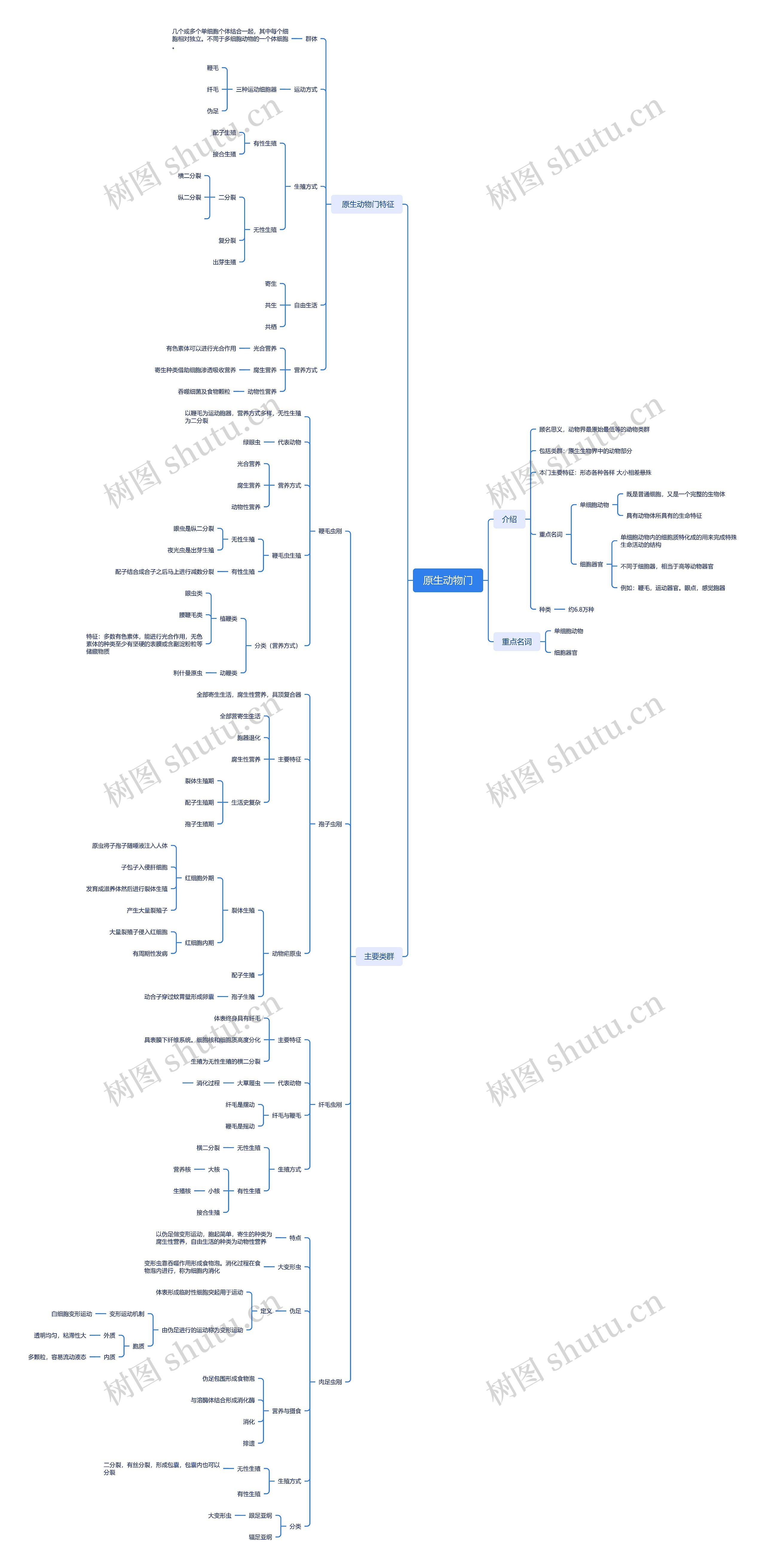 原生动物门思维导图