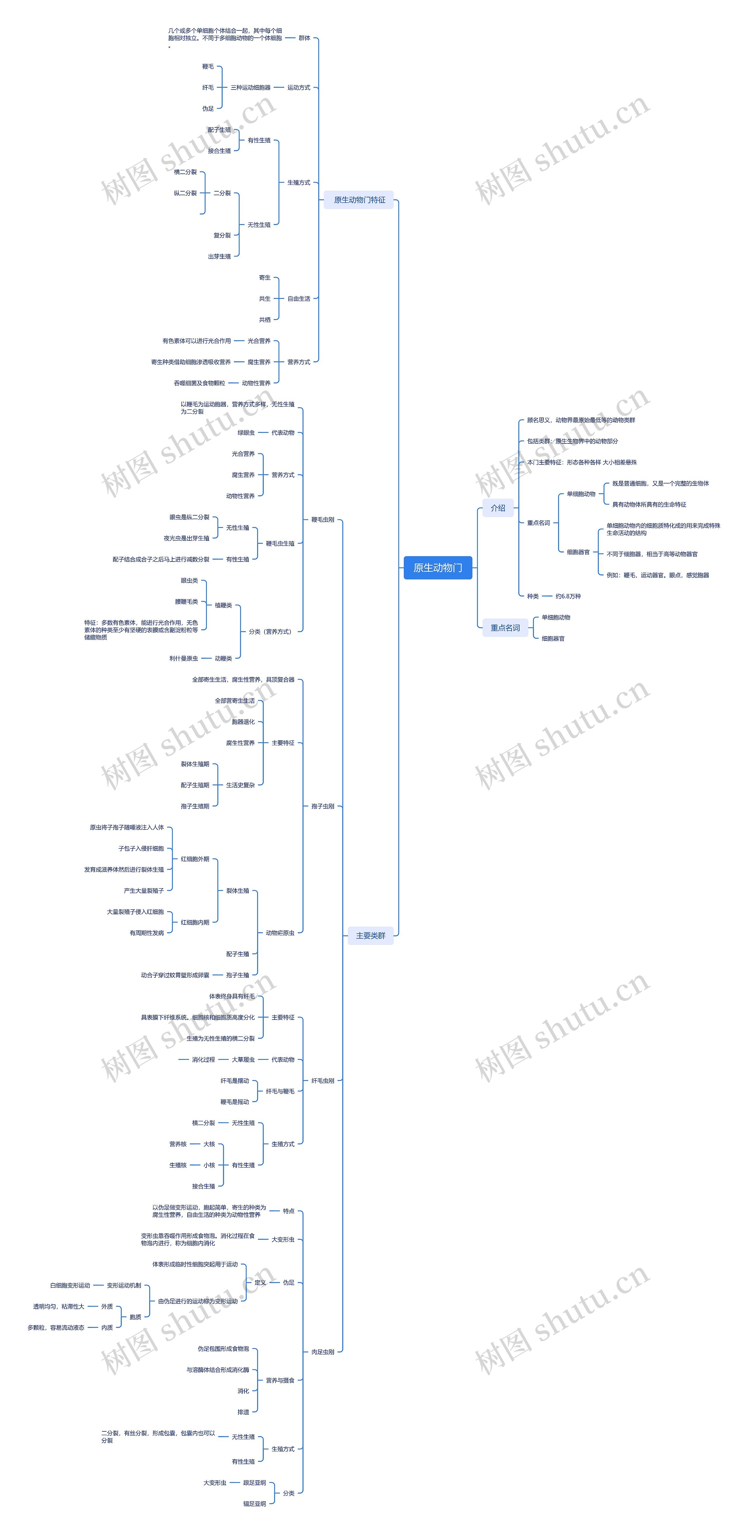 原生动物门思维导图高清图 原生动物门思维导图