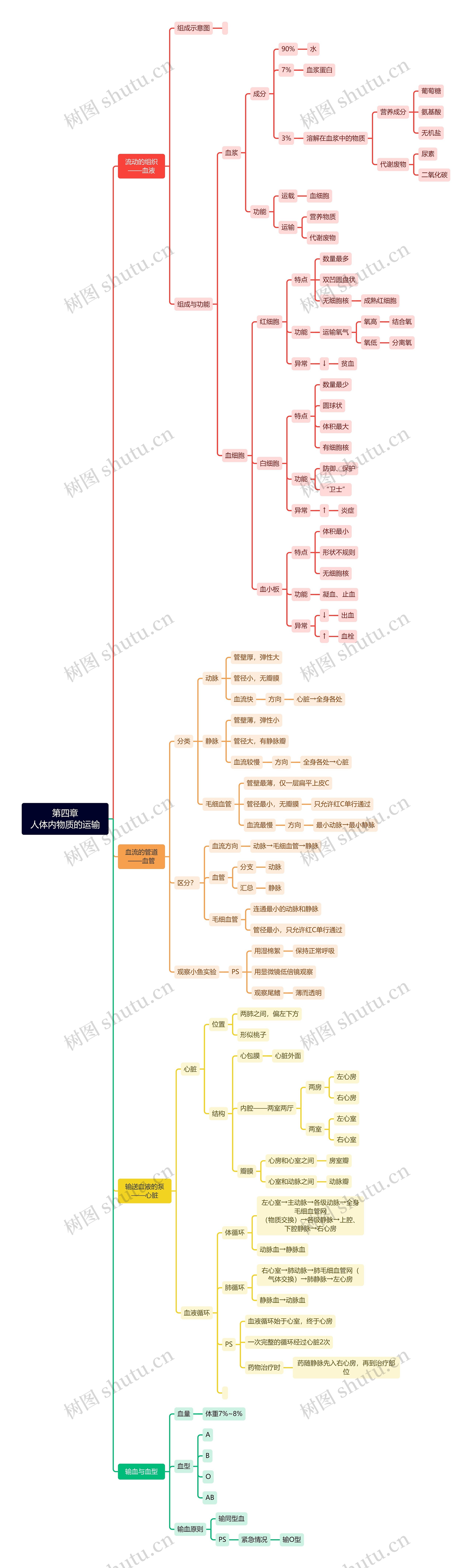 第四章人体内物质的运输思维导图