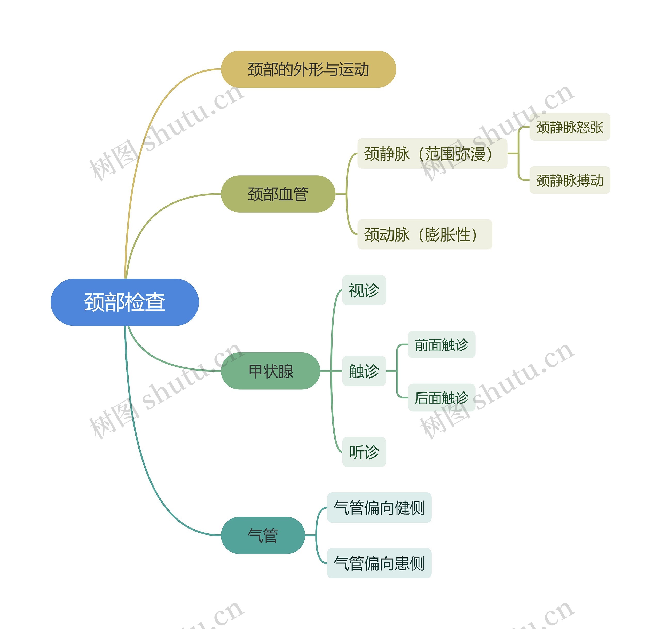 ﻿颈部检查思维导图