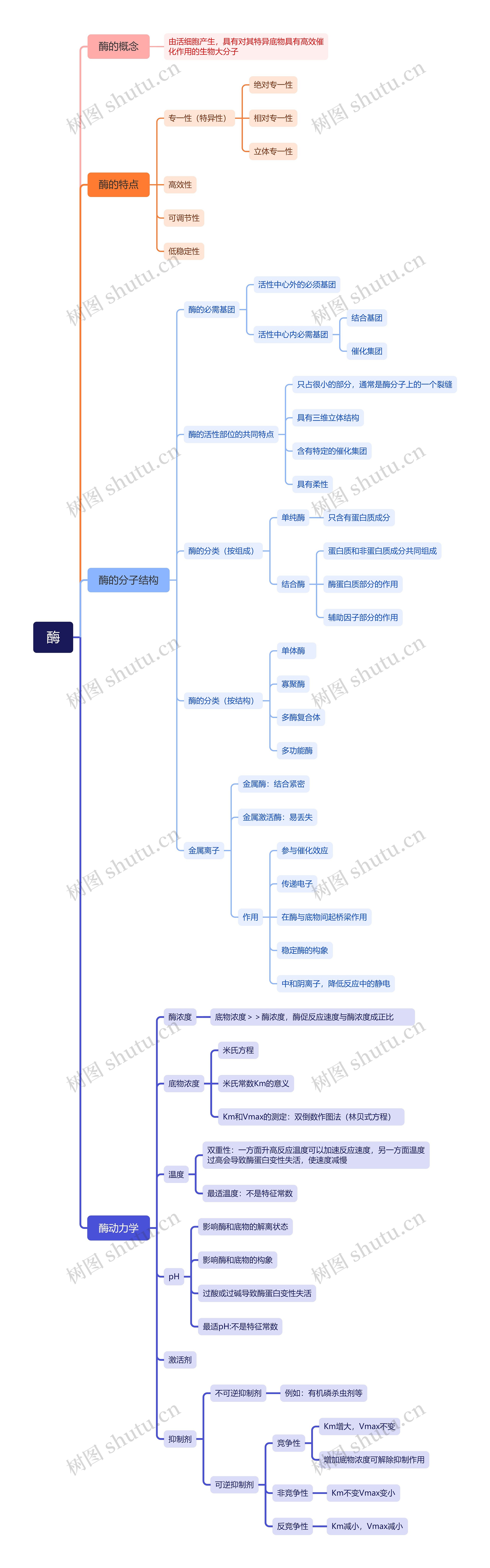 ﻿酶的基本知识思维脑图