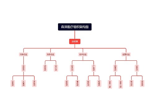 森泽医疗组织架构图