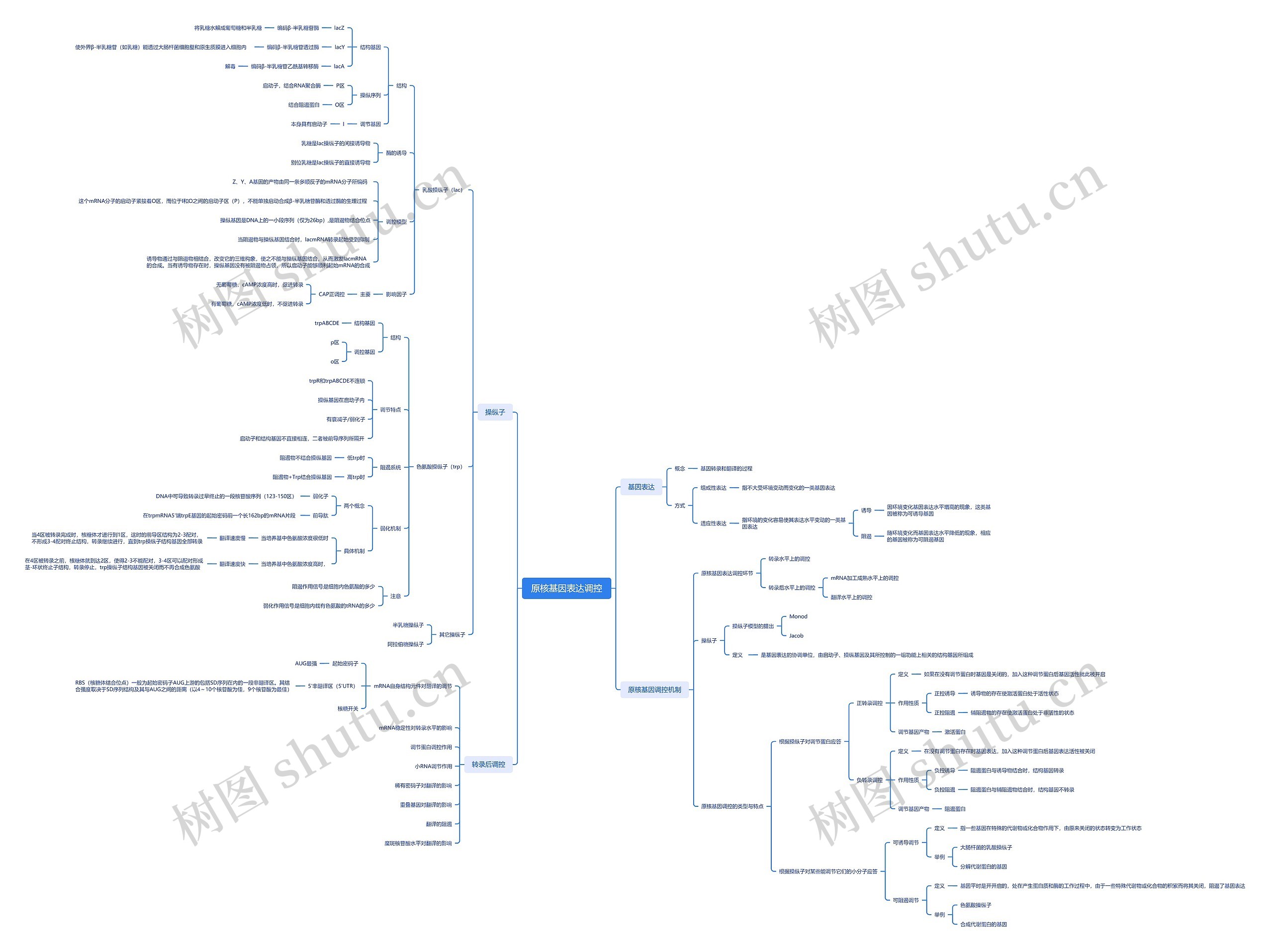 原核基因表达调控思维脑图