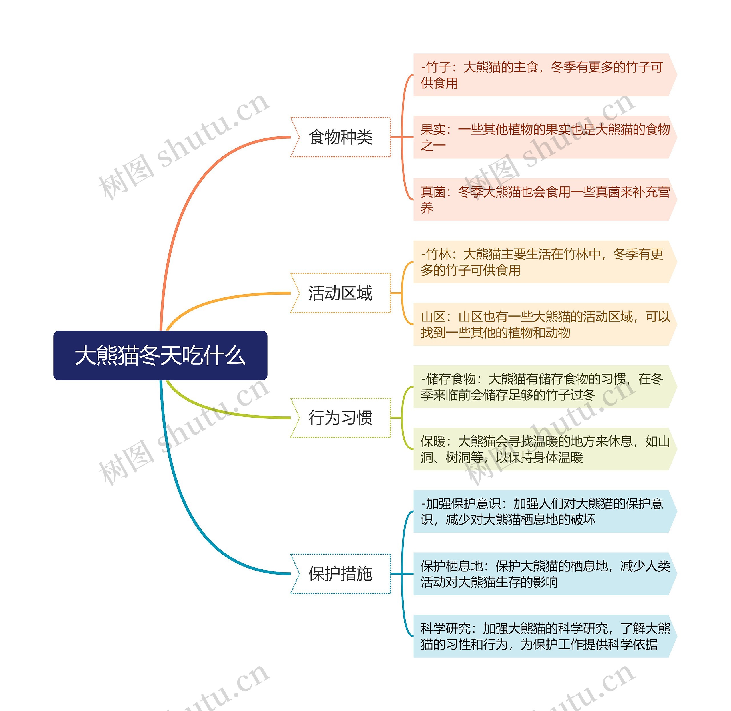 大熊猫冬天吃什么思维脑图