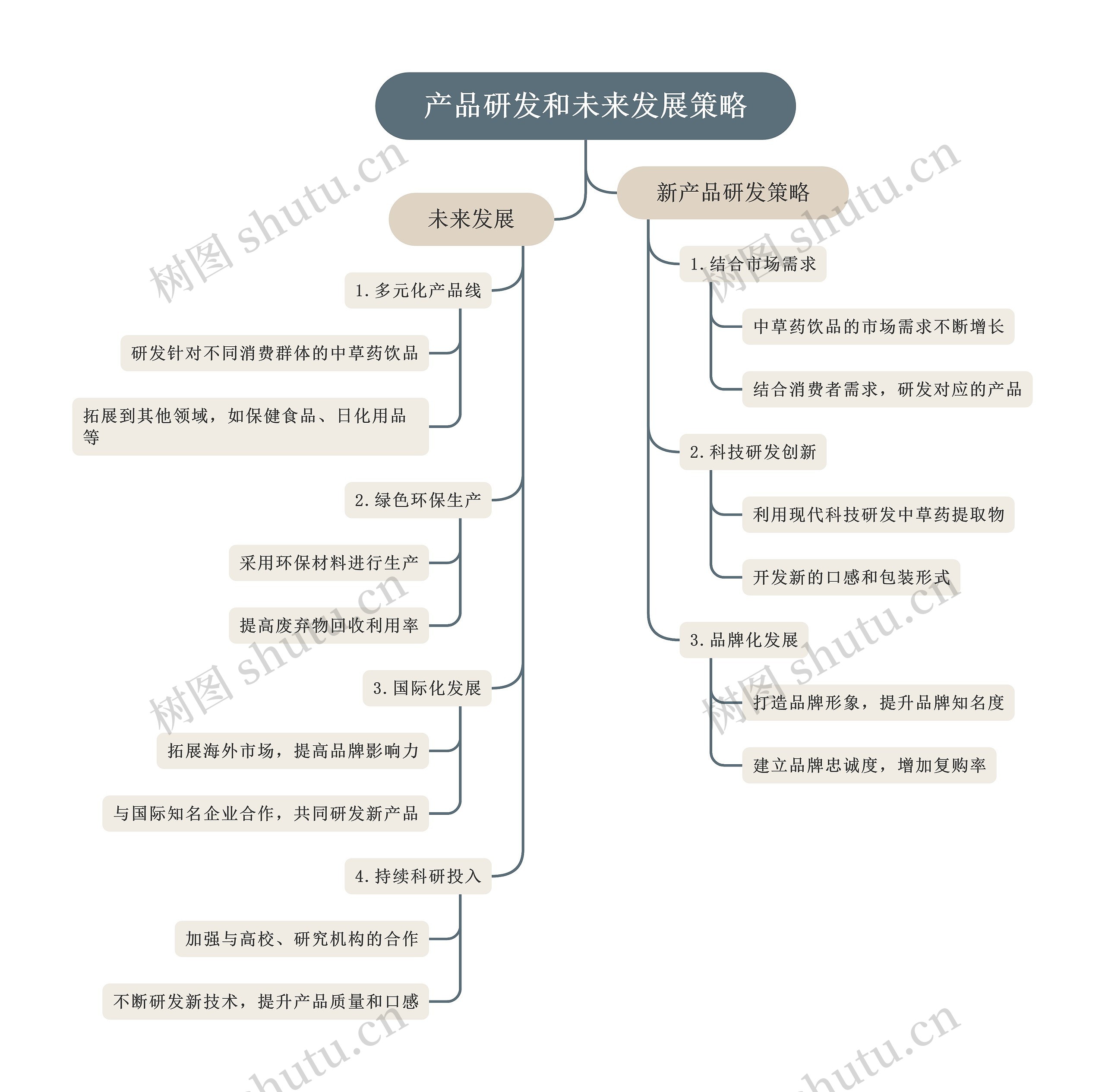 产品研发和未来发展策略_副本思维导图