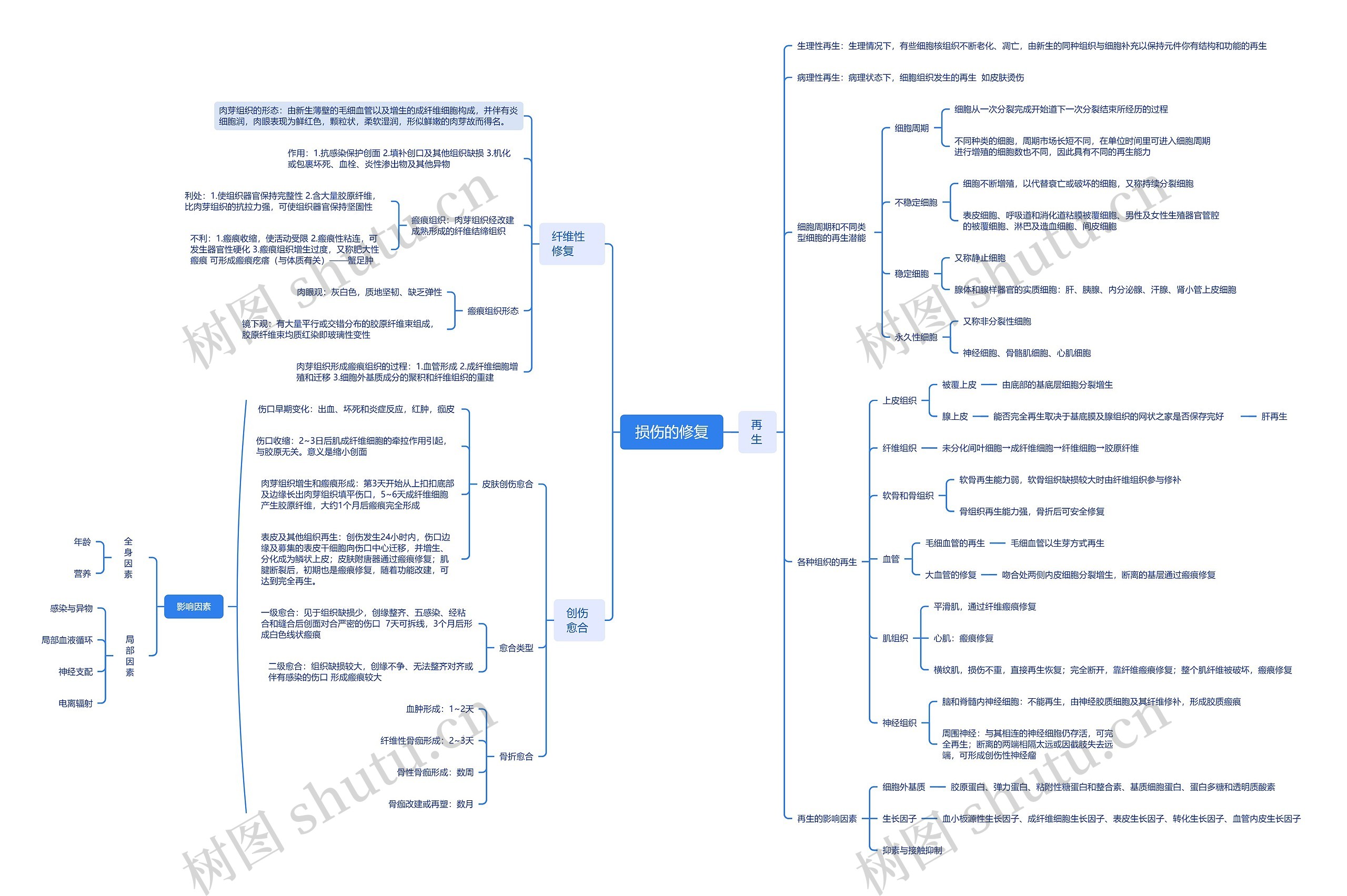 损伤的修复思维导图