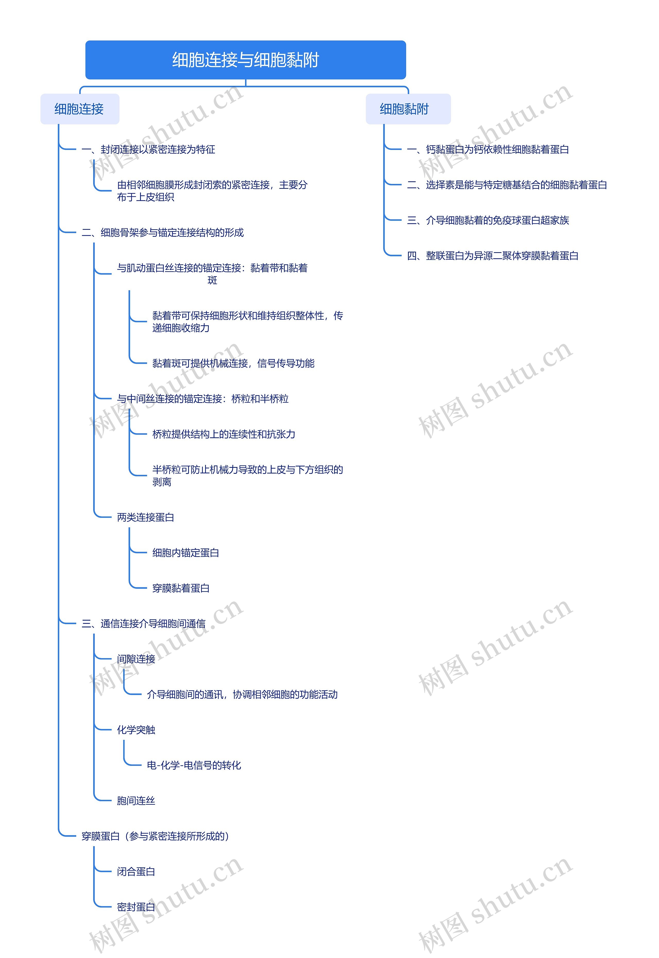 ﻿细胞连接与细胞黏附脑图思维导图