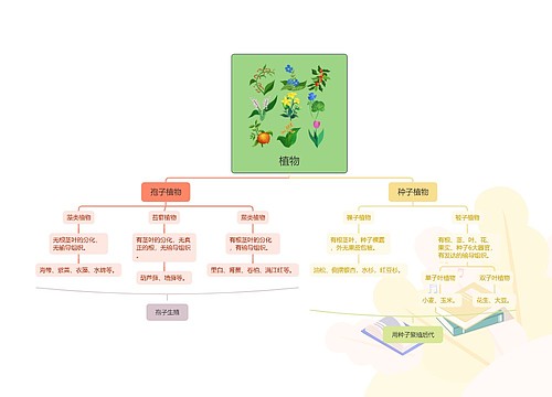 植物思维导图