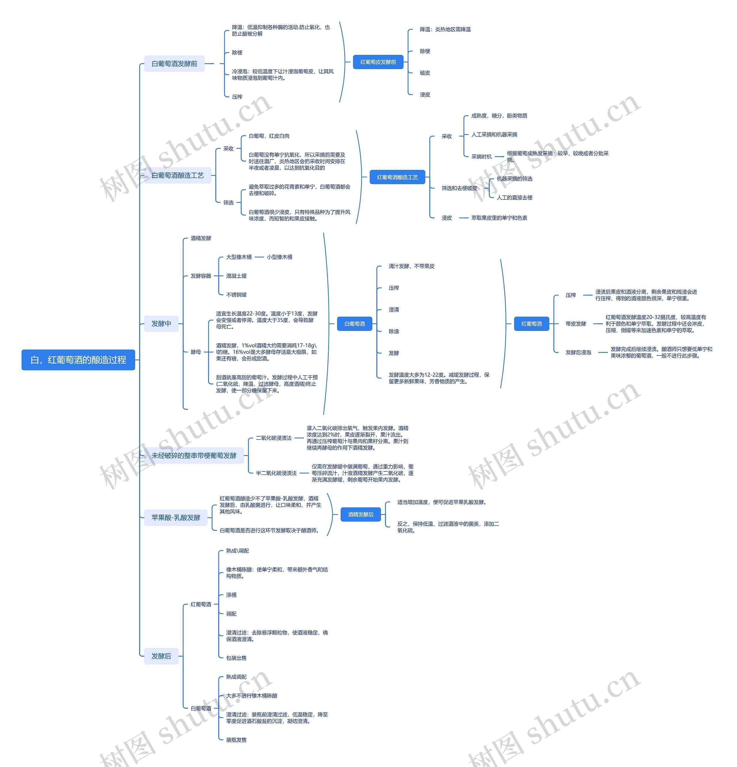 ﻿白，红葡萄酒的酿造过程脑图思维导图