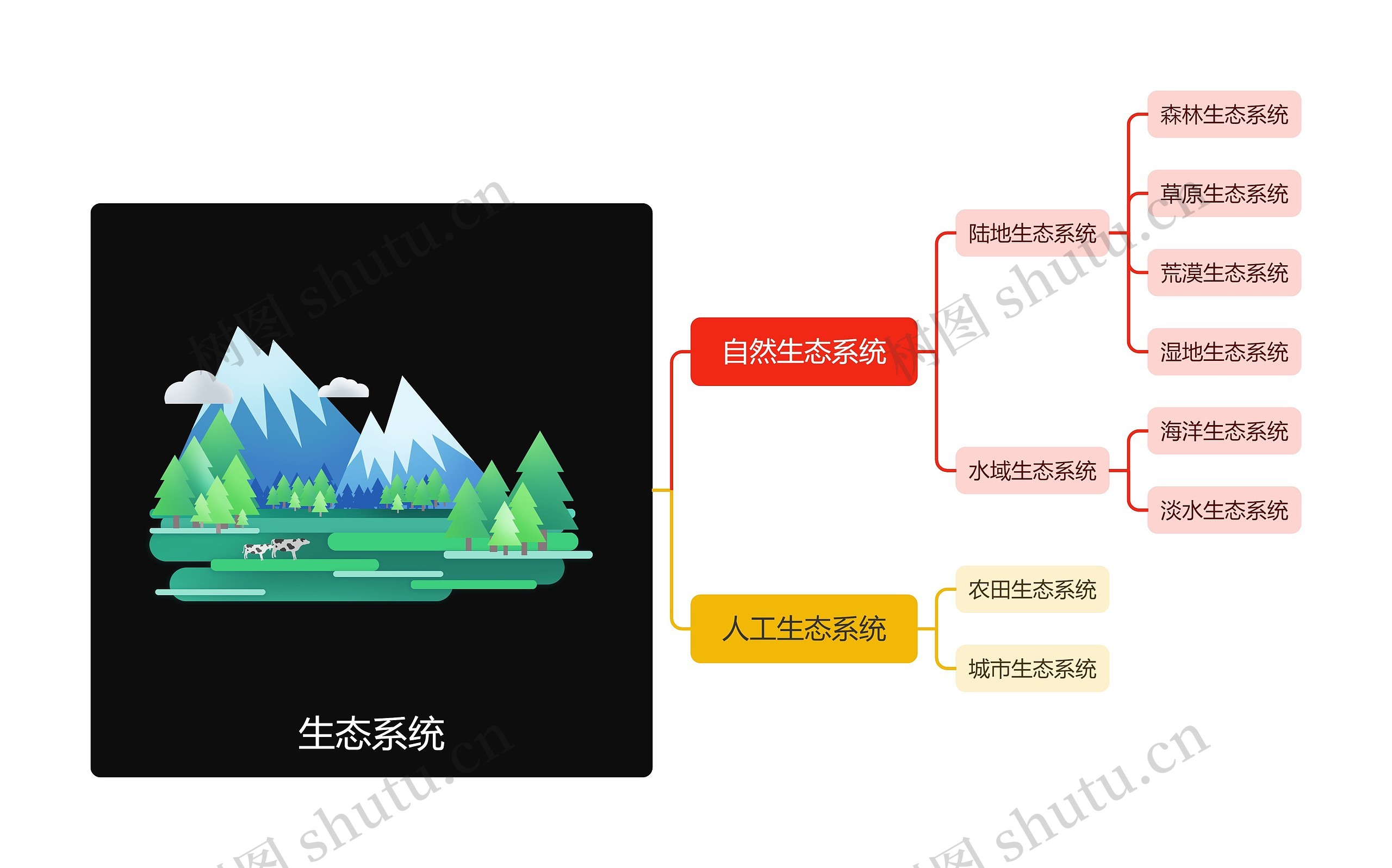 生态系统