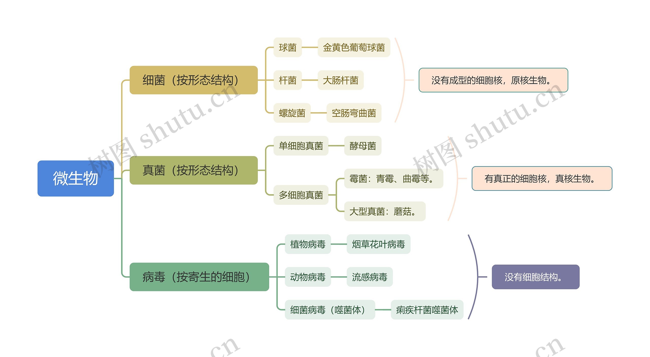 微生物思维导图高清图 微生物思维导图